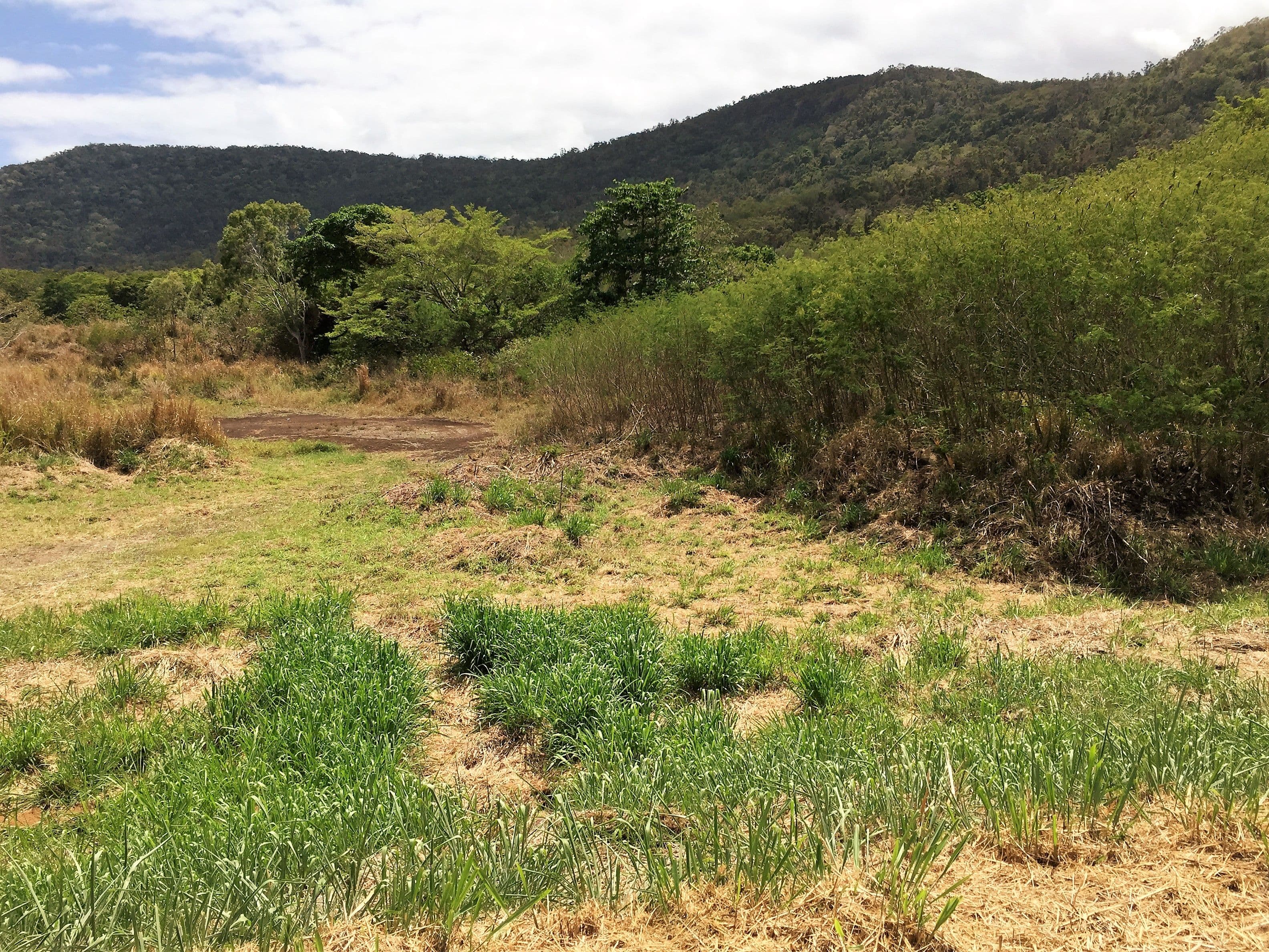 Lot 3 Shute Harbour Road, Flametree QLD 4802, Flametree - Thumbnail 3