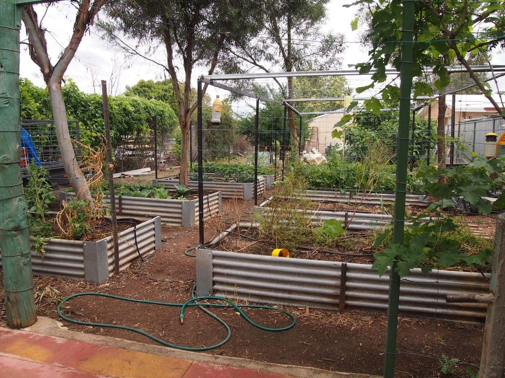 44 william Street, Condobolin NSW 2877, Condobolin - Thumbnail 6