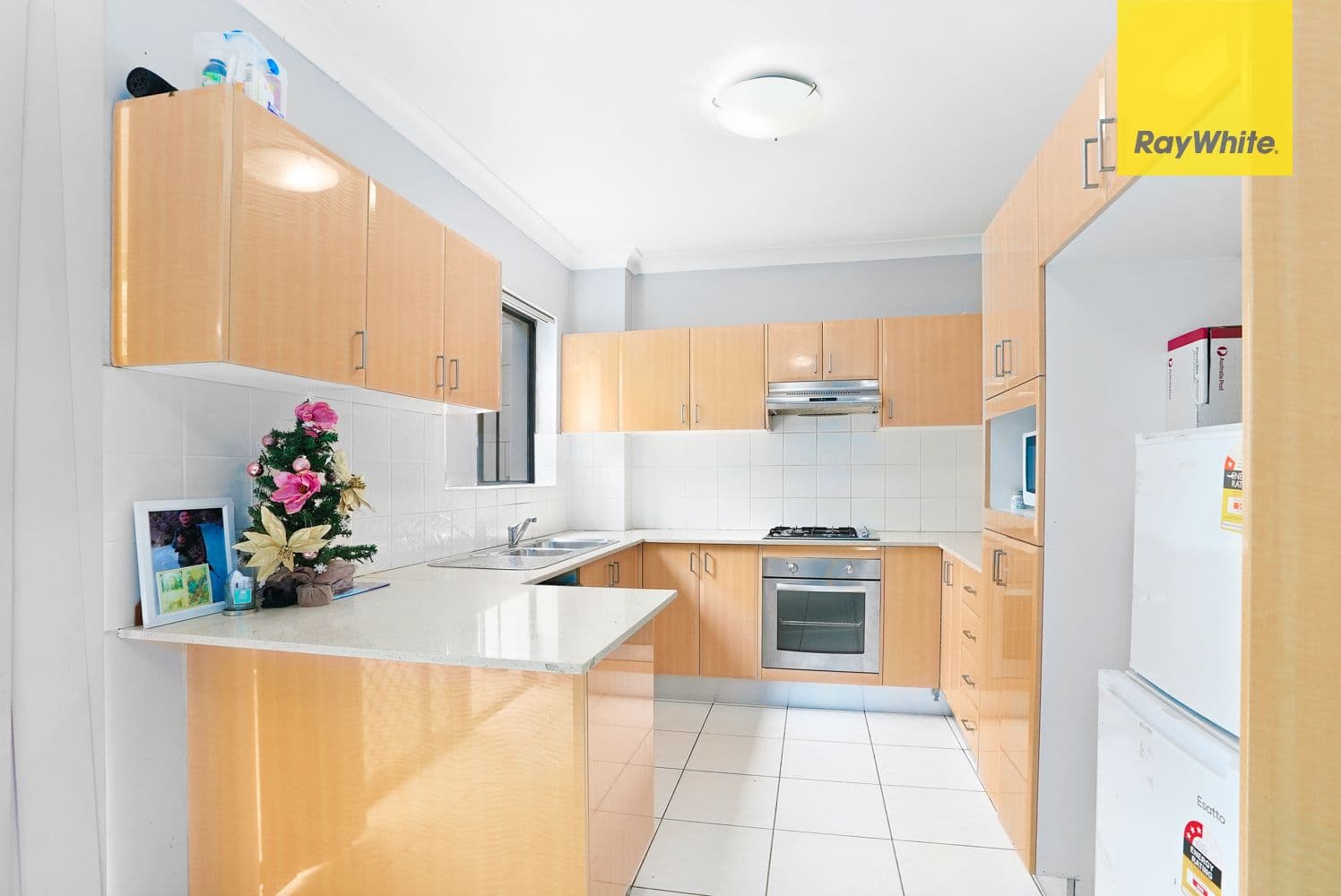 170 Bridge Road, Westmead NSW 2145, Westmead - Thumbnail 2