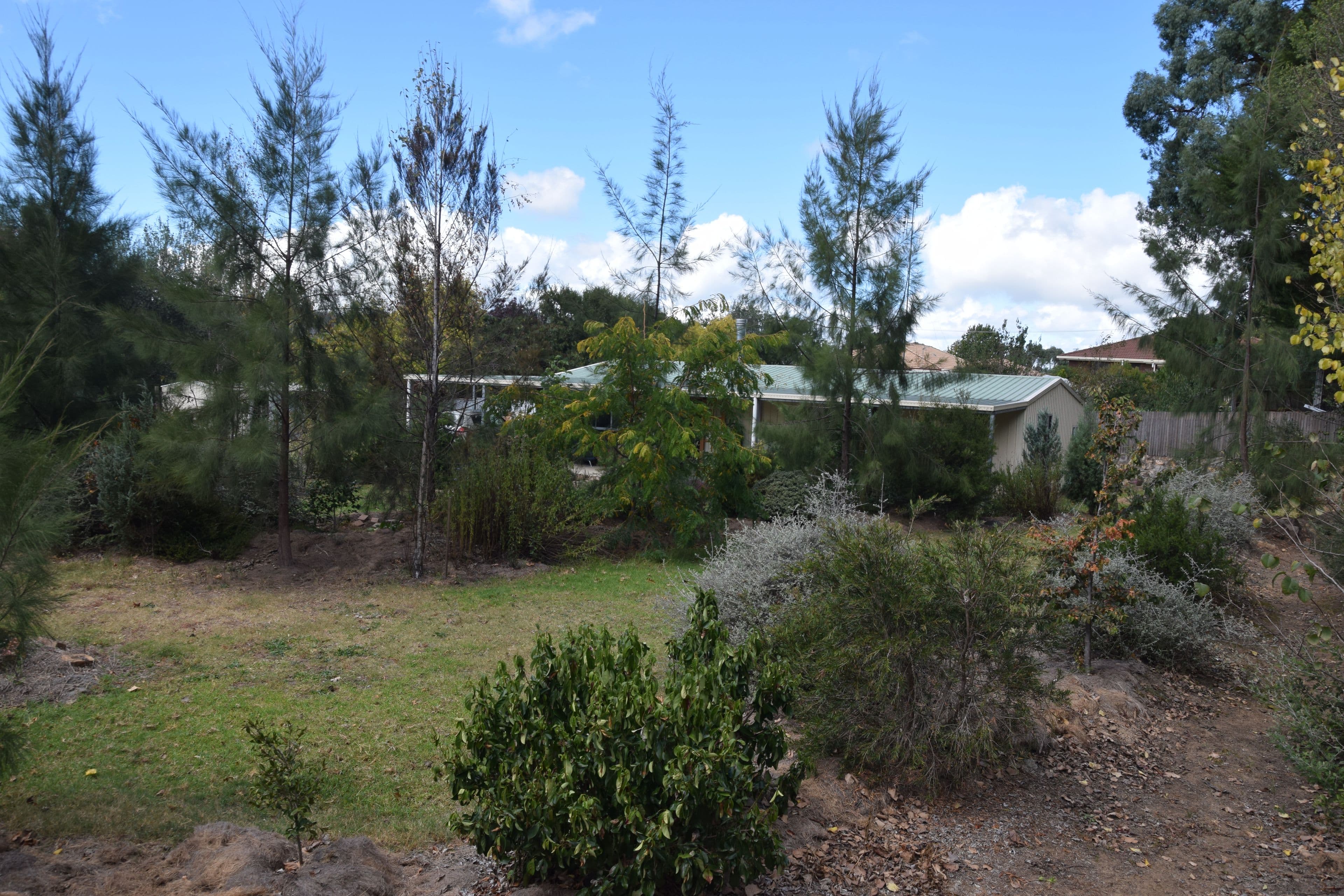 86 Duncan Street, Tenterfield - Thumbnail 4