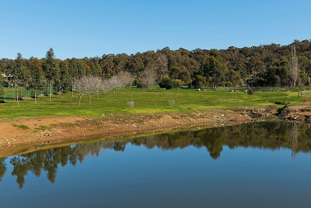 40 Jaldary Trail ( Entry off Smith Road ), Bullsbrook WA 6084, Bullsbrook - Thumbnail 5
