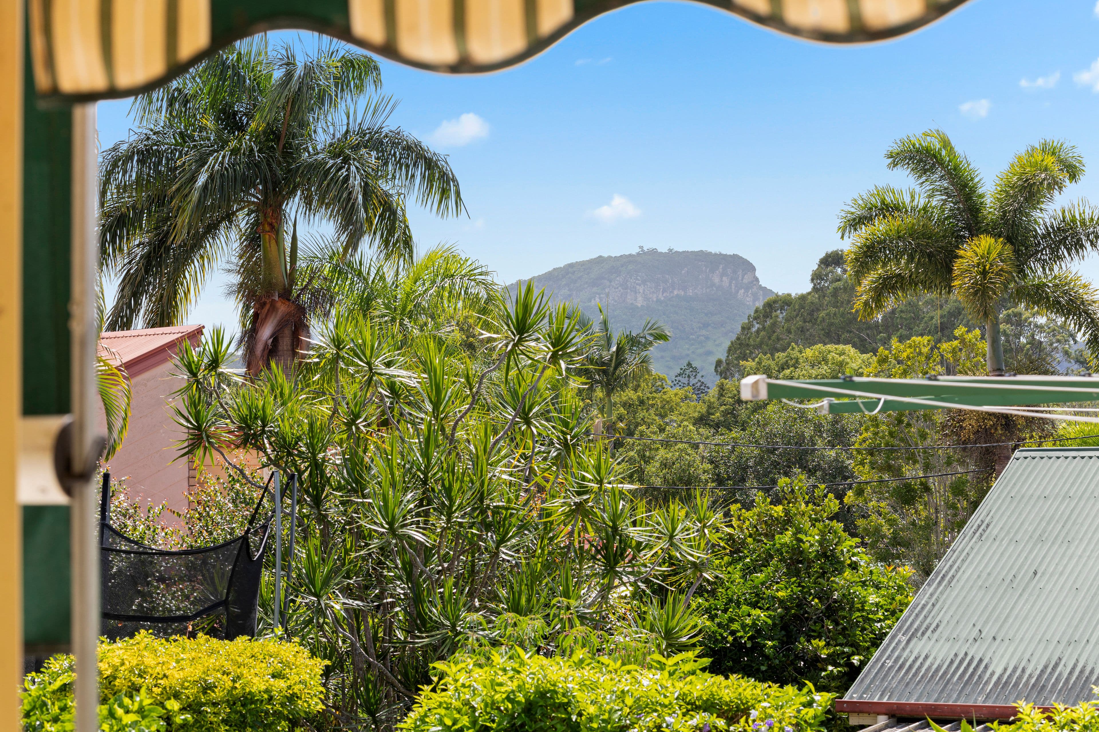 5 Elm Court, Yandina QLD 4561, Yandina - Thumbnail 7