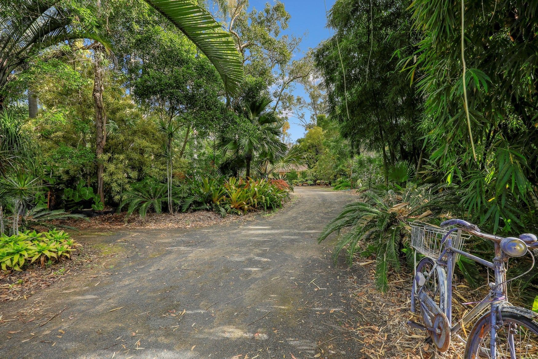 45 Pleasant Drive, Sharon QLD 4670, Sharon - Thumbnail 3