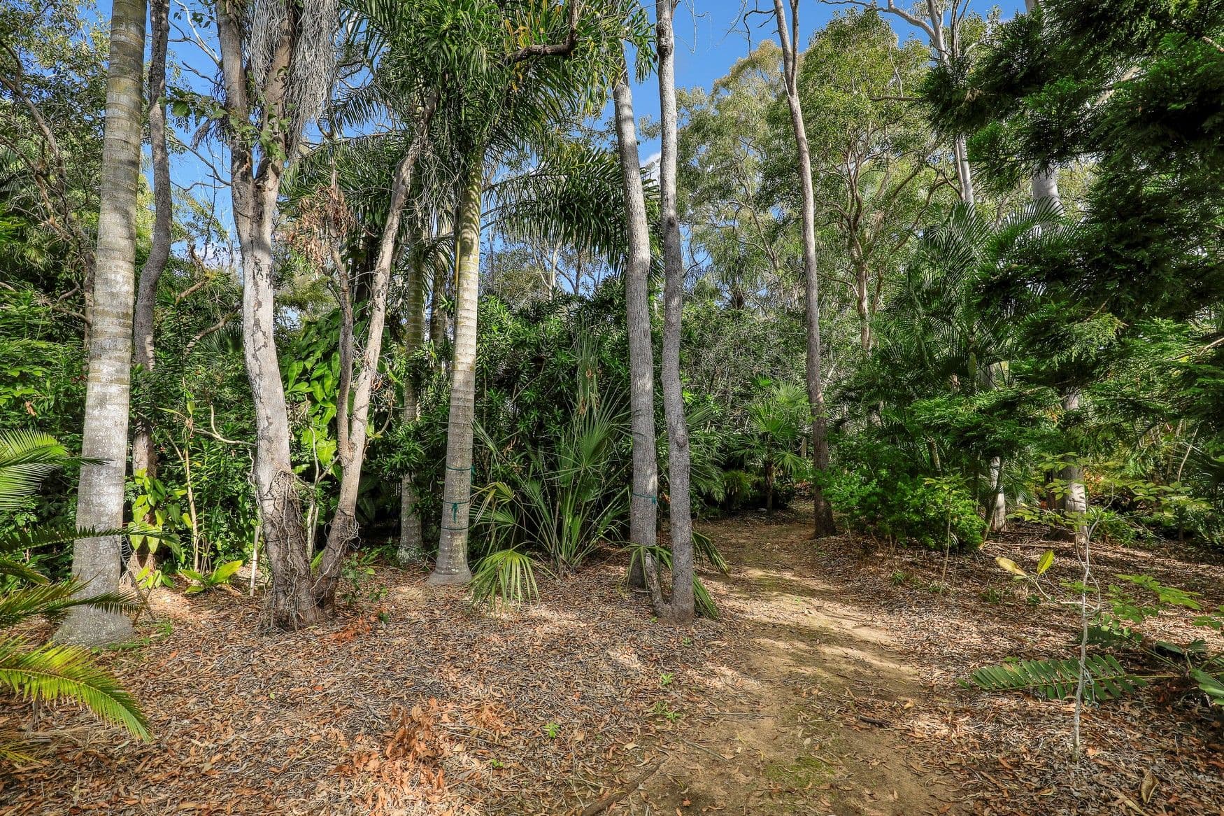 45 Pleasant Drive, Sharon QLD 4670, Sharon - Thumbnail 4