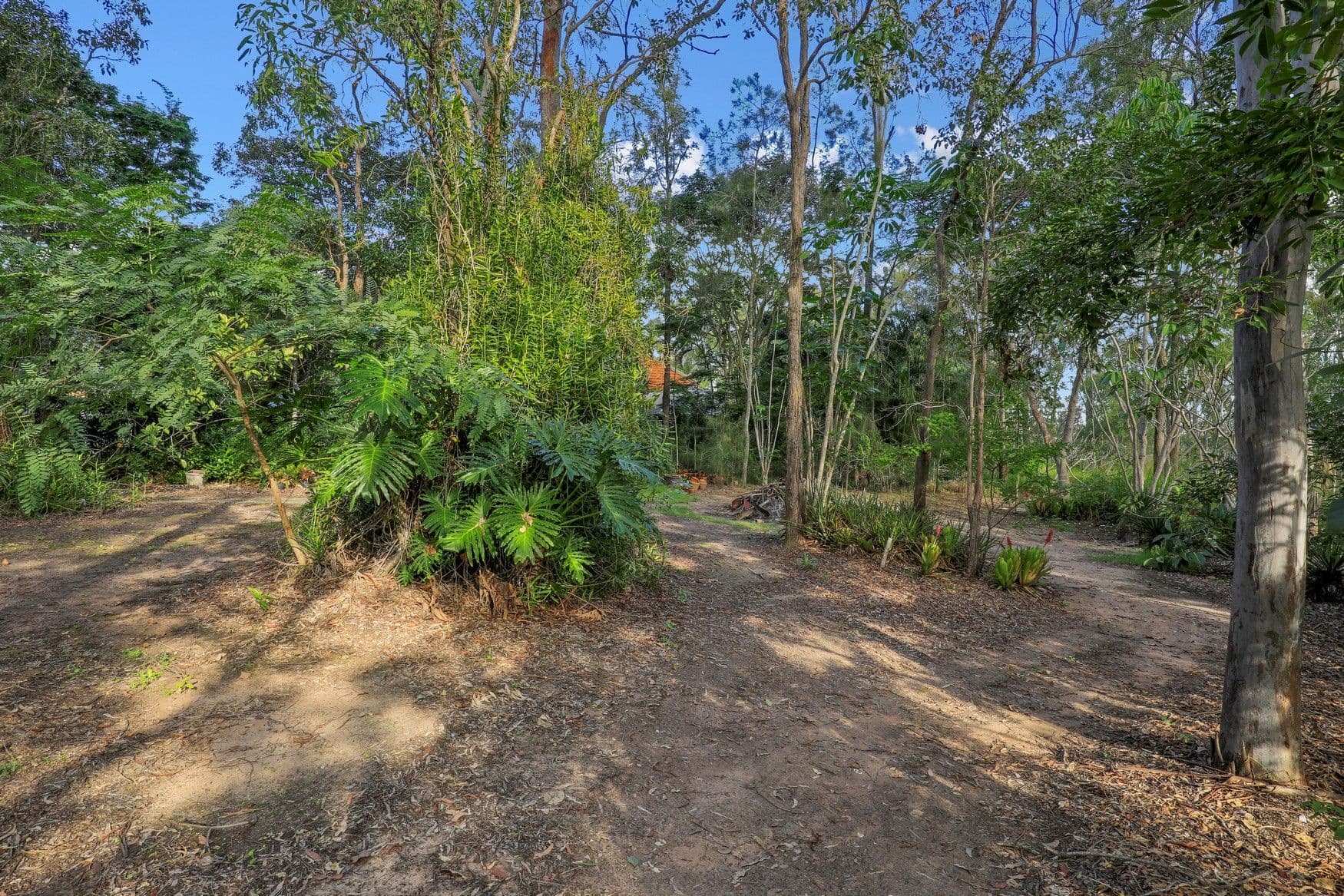 45 Pleasant Drive, Sharon QLD 4670, Sharon - Thumbnail 8
