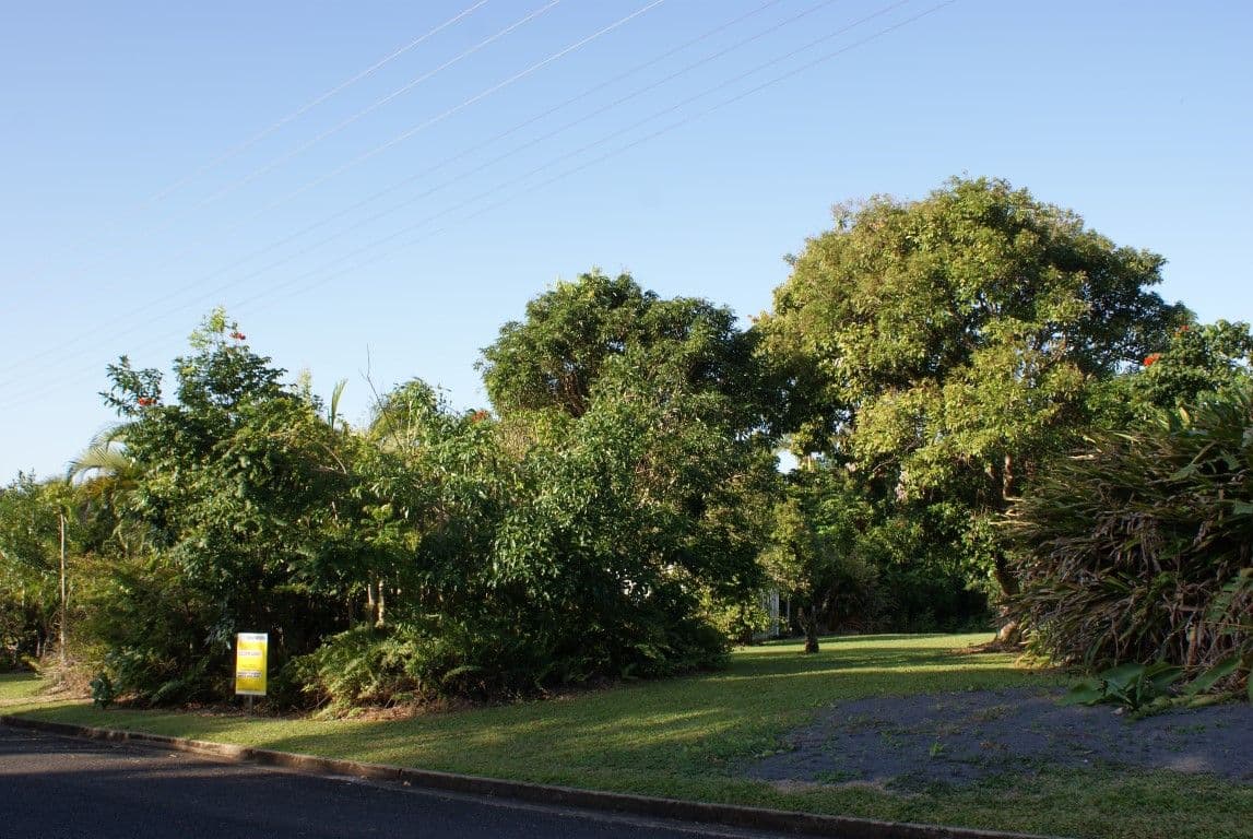 20 Pioneer Street, Bingil Bay QLD 4852, Bingil Bay - Thumbnail 6