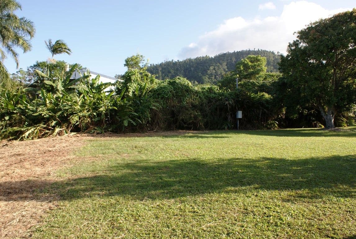 20 Pioneer Street, Bingil Bay QLD 4852, Bingil Bay - Thumbnail 8