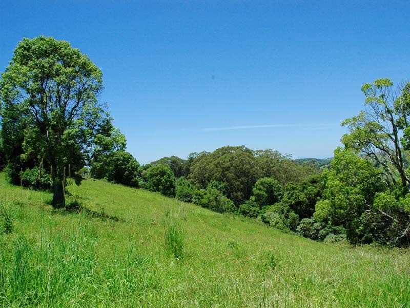 PIGGABEEN NSW 2486, Piggabeen - Thumbnail 6