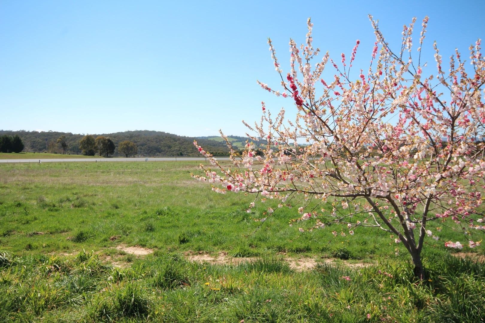 2A Blenheim Avenue, Oberon NSW 2787, Oberon - Thumbnail 3