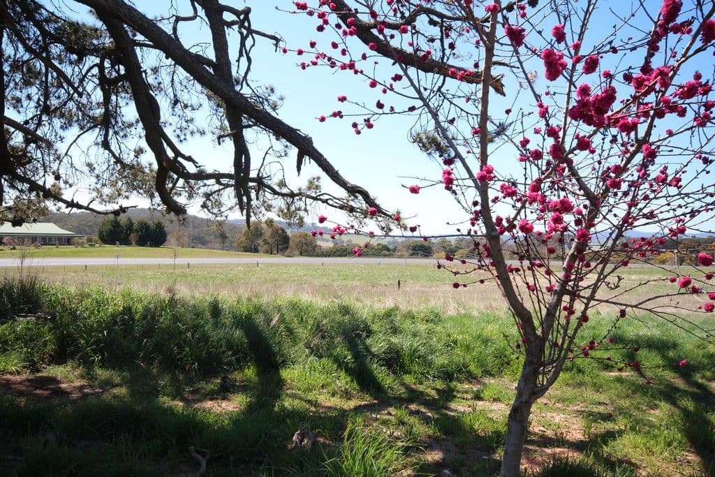 2A Blenheim Avenue, Oberon NSW 2787, Oberon - Thumbnail 4