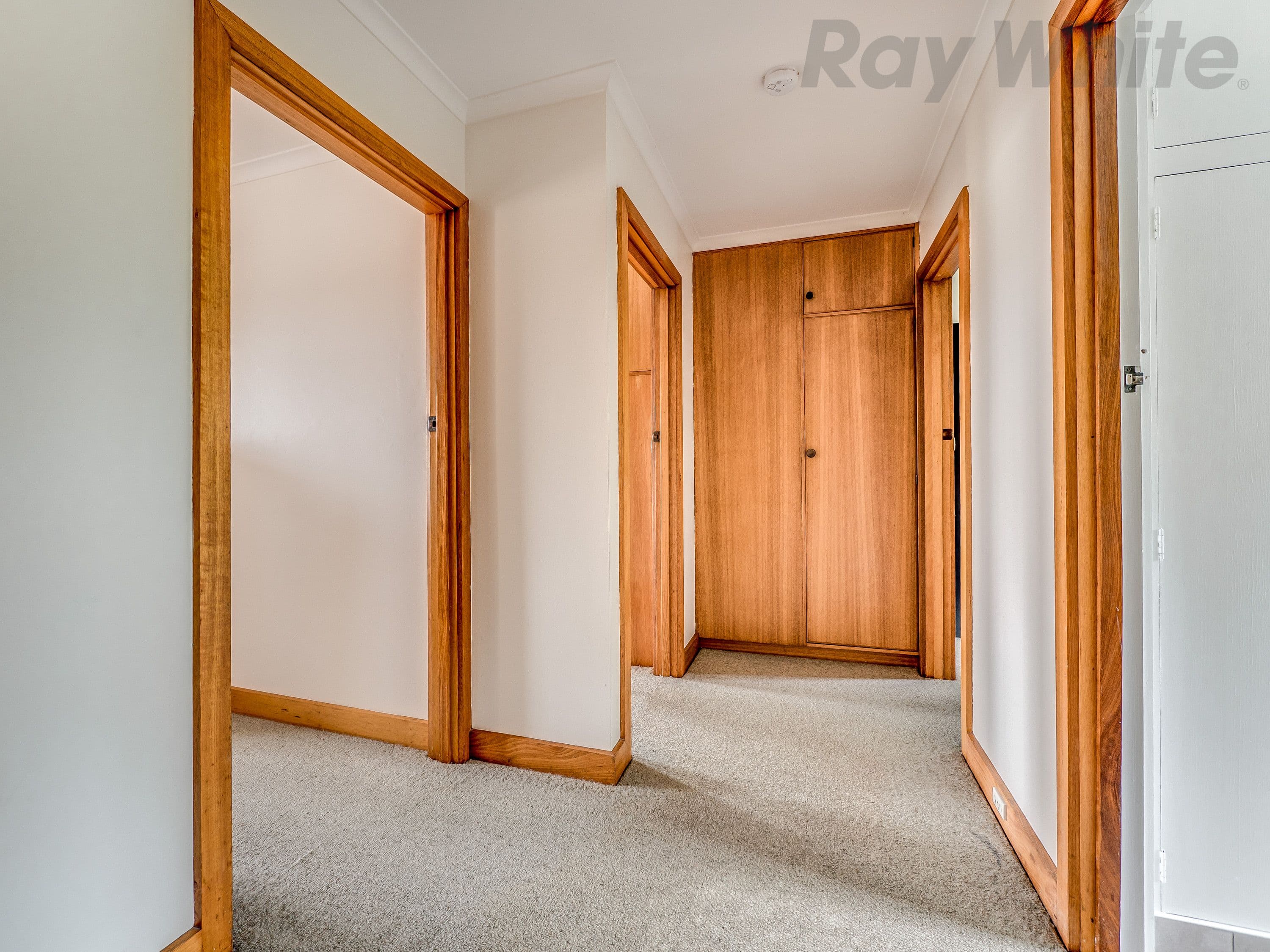 2 / 59 Belmore Road, Punchbowl, Punchbowl - Thumbnail 7