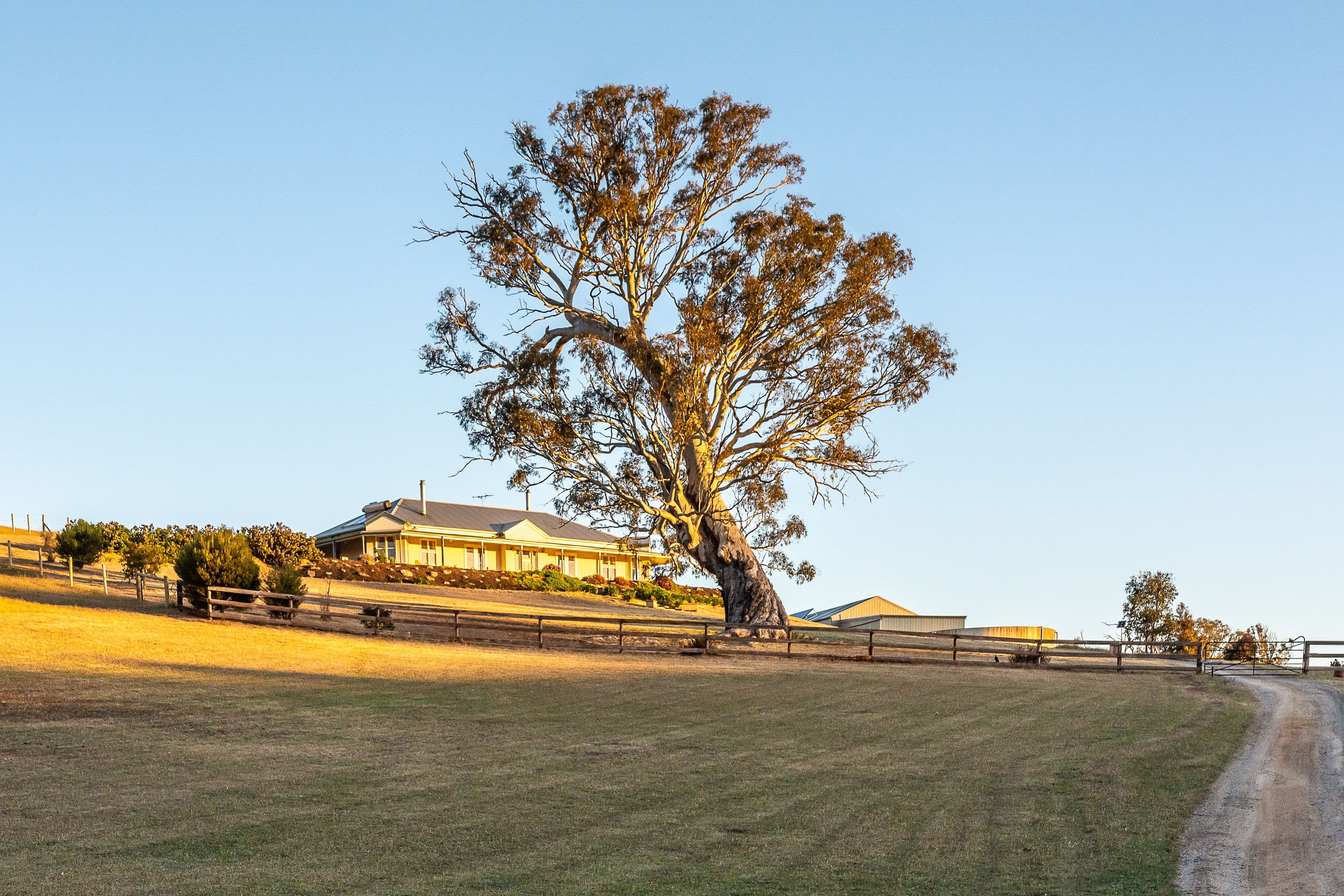 147A The Glen Road, Harrogate SA 5244, Harrogate - Image 1