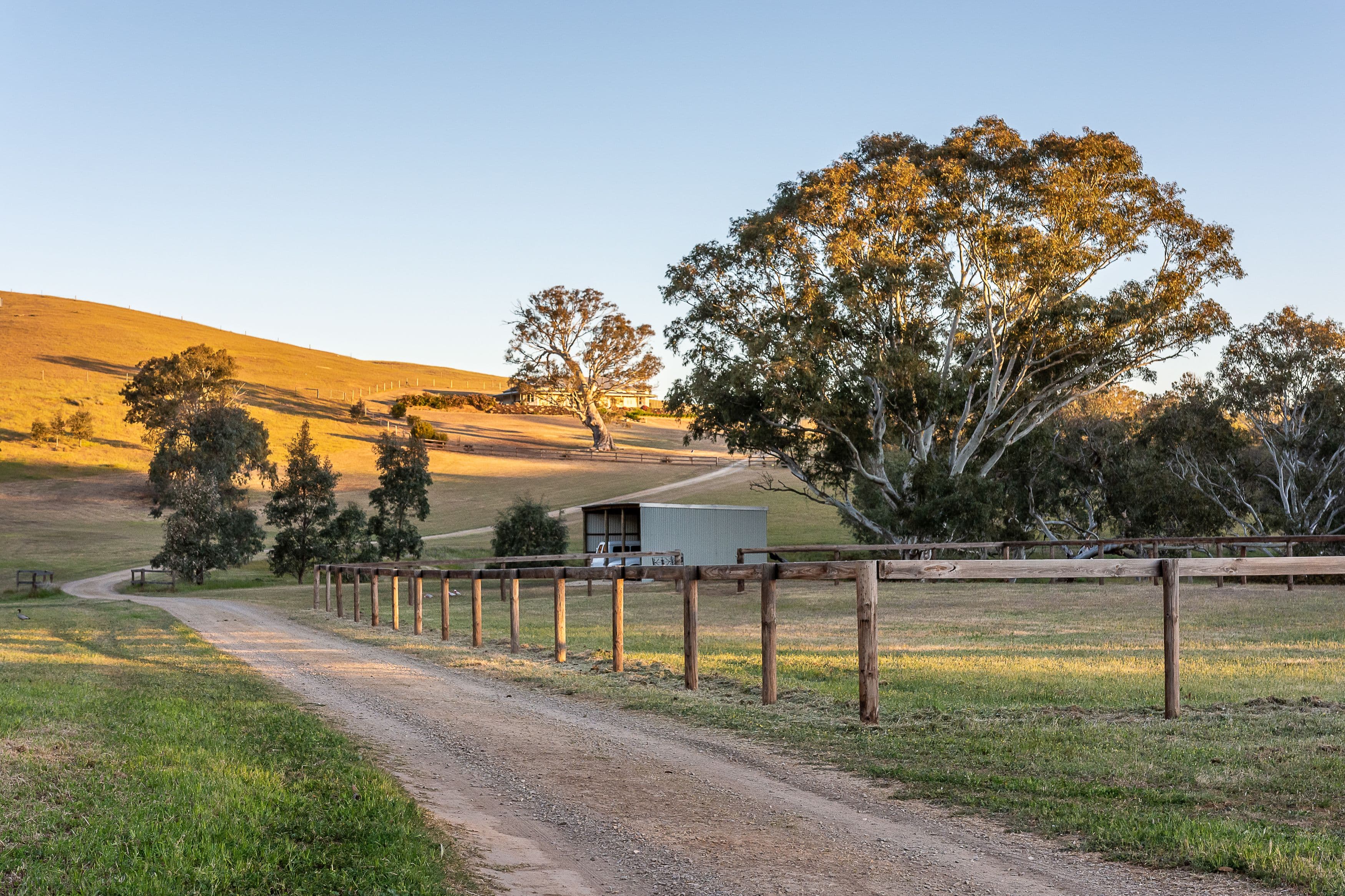147A The Glen Road, Harrogate SA 5244, Harrogate - Thumbnail 4