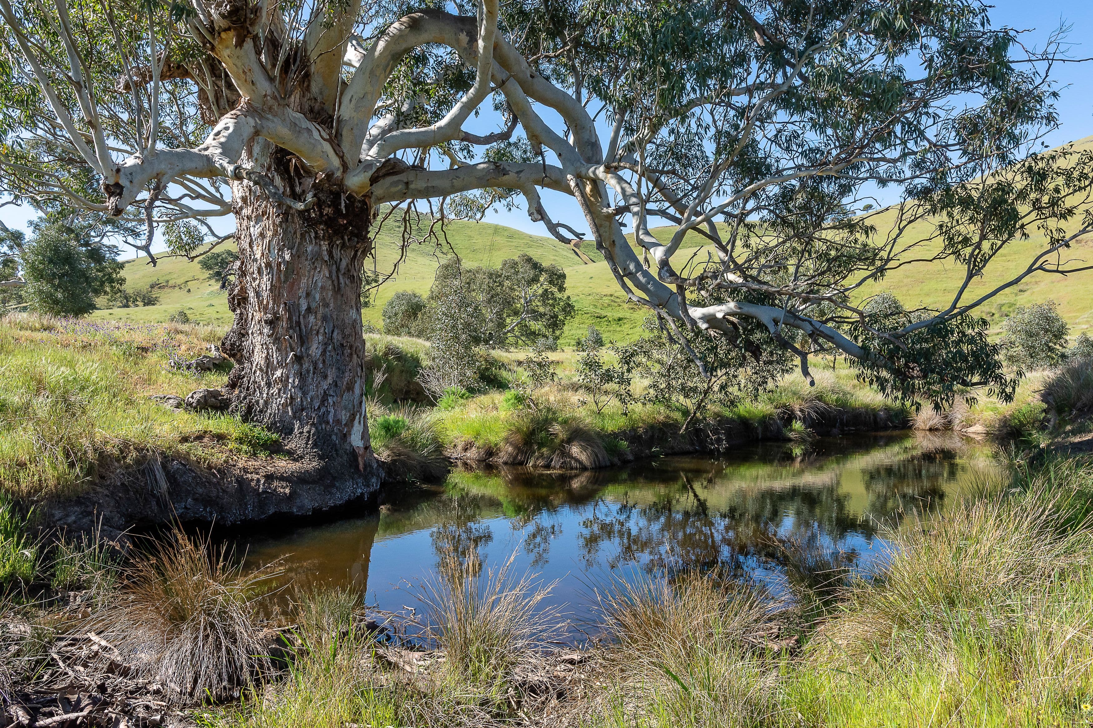 147A The Glen Road, Harrogate SA 5244, Harrogate - Thumbnail 6