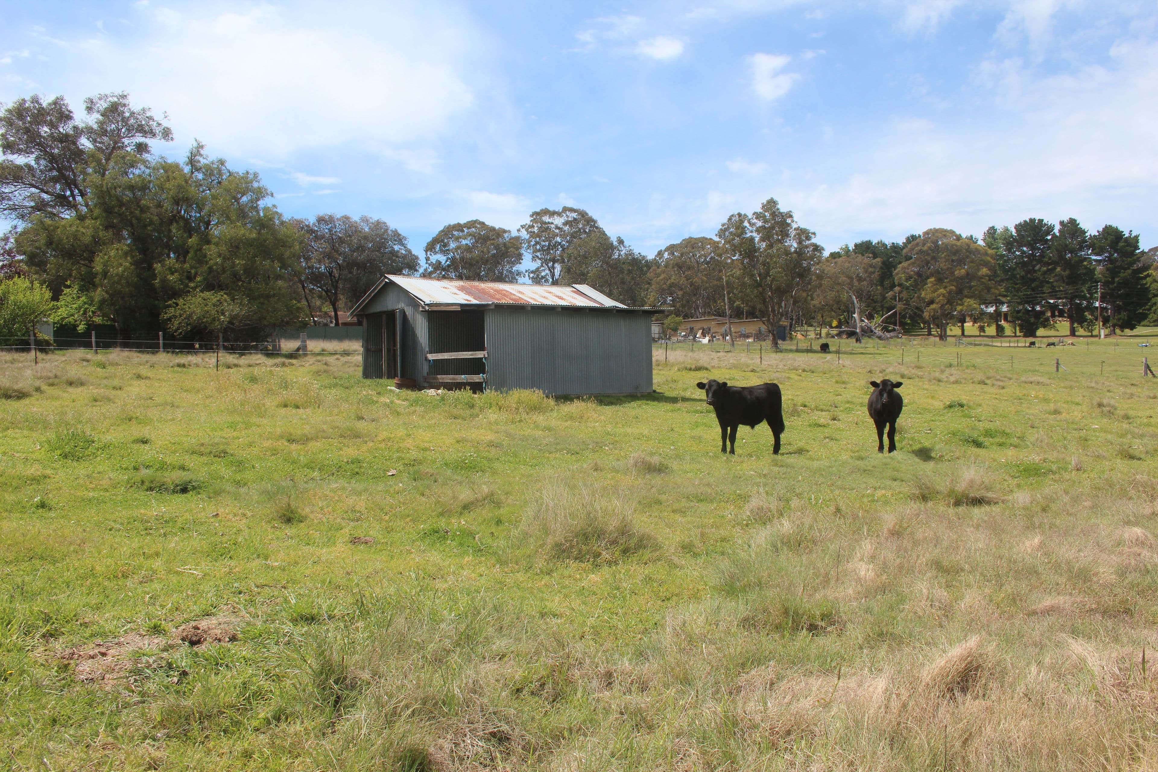 251 Douglas Street, Tenterfield - Thumbnail 7