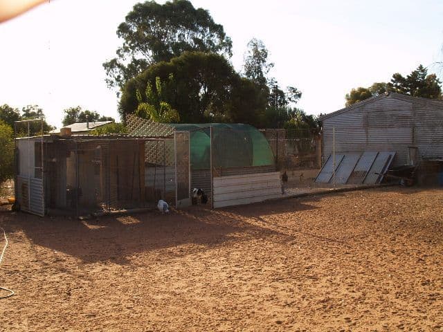 Sec 570 Vasey Road, WAIKERIE SA 5330, Waikerie - Thumbnail 3