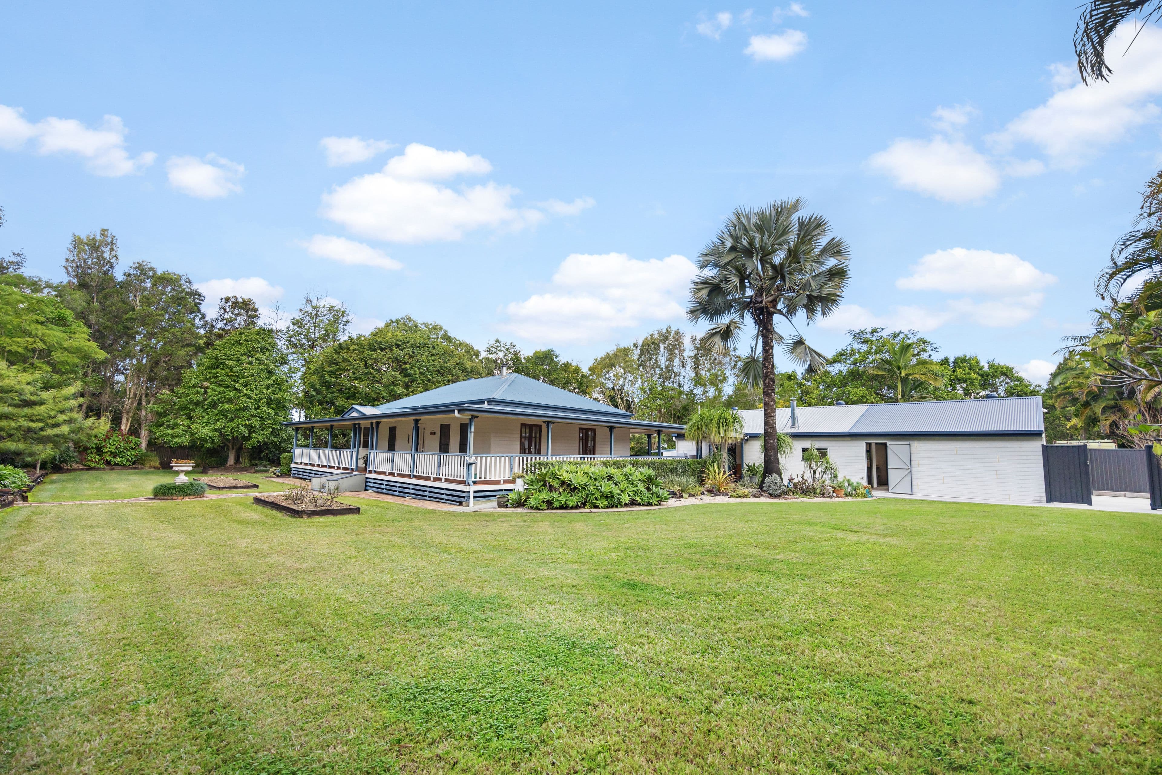 7 Forsyth Place, Mooloolah Valley QLD 4553, Mooloolah Valley - Thumbnail 3