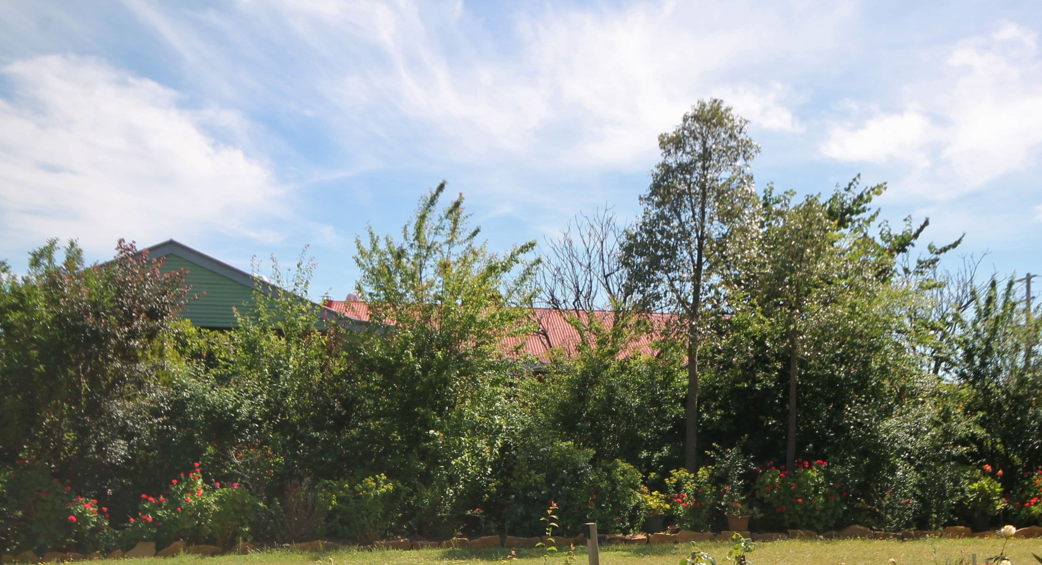 167 Bonnington Road, Young NSW 2594, Young - Image 1