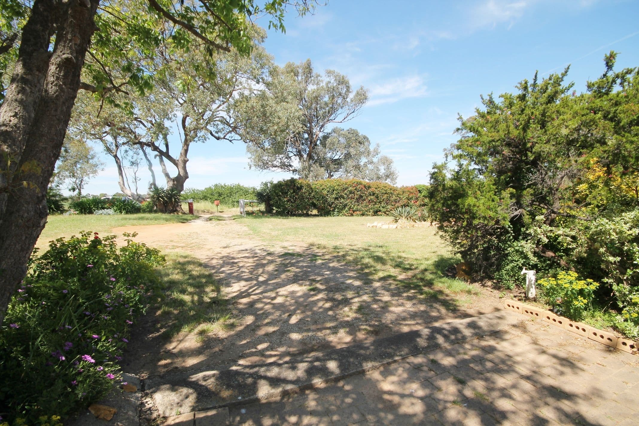 167 Bonnington Road, Young NSW 2594, Young - Thumbnail 3