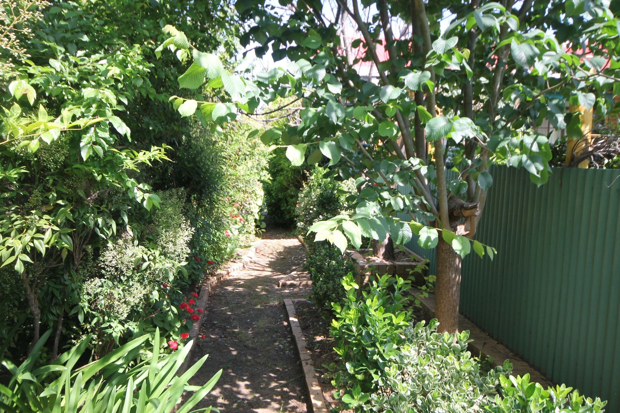 167 Bonnington Road, Young NSW 2594, Young - Thumbnail 4