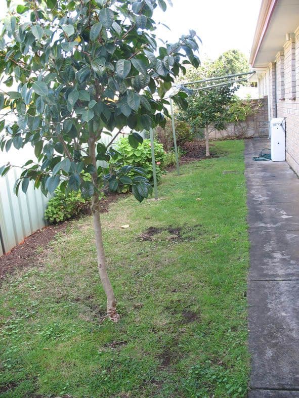  26 Doughty Street, MOUNT GAMBIER SA 5290, Mount Gambier - Thumbnail 7