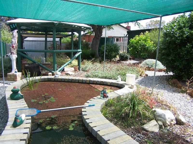 58 Coral Road, KALAMUNDA WA 6076, Kalamunda - Thumbnail 6