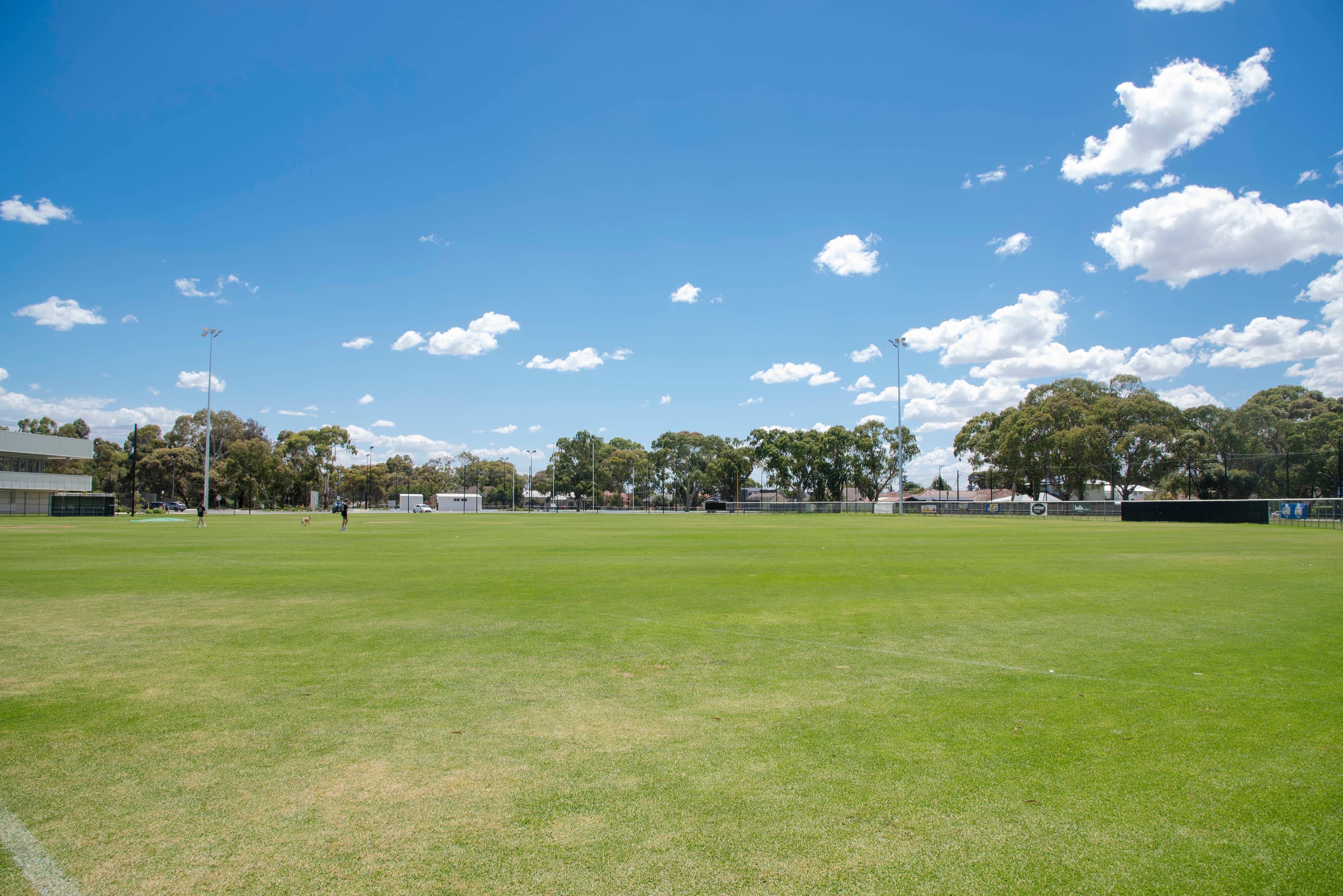 576 Sir Donald Bradman Drive, Lockleys SA 5032, Lockleys - Thumbnail 7
