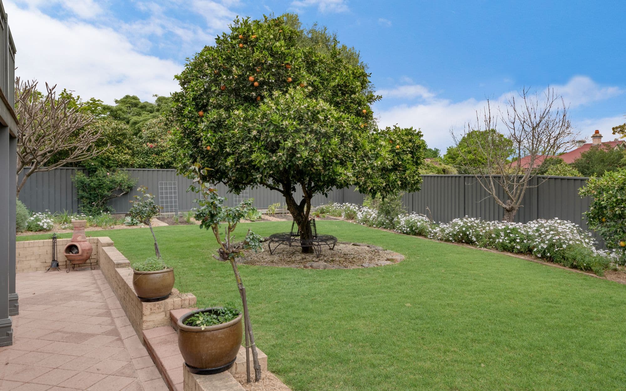 3 Merriman Close, Elderslie NSW 2570, Elderslie - Thumbnail 3