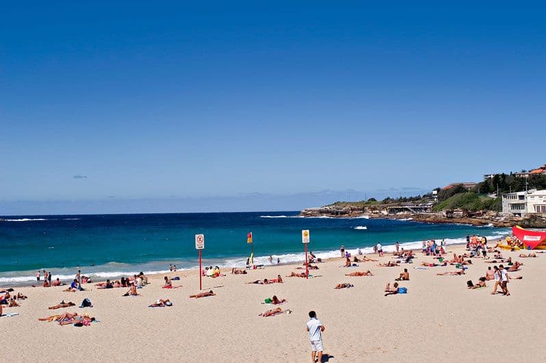 3 Melody Street, COOGEE NSW 2034, Coogee - Thumbnail 7