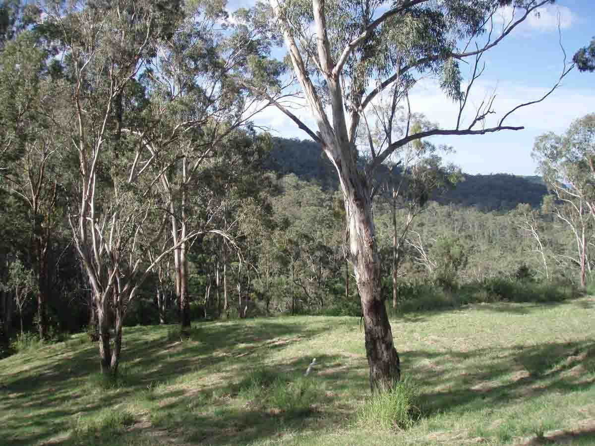 86-94 Flagstone Creek Road, Middle Ridge QLD 4350, Middle Ridge - Thumbnail 5