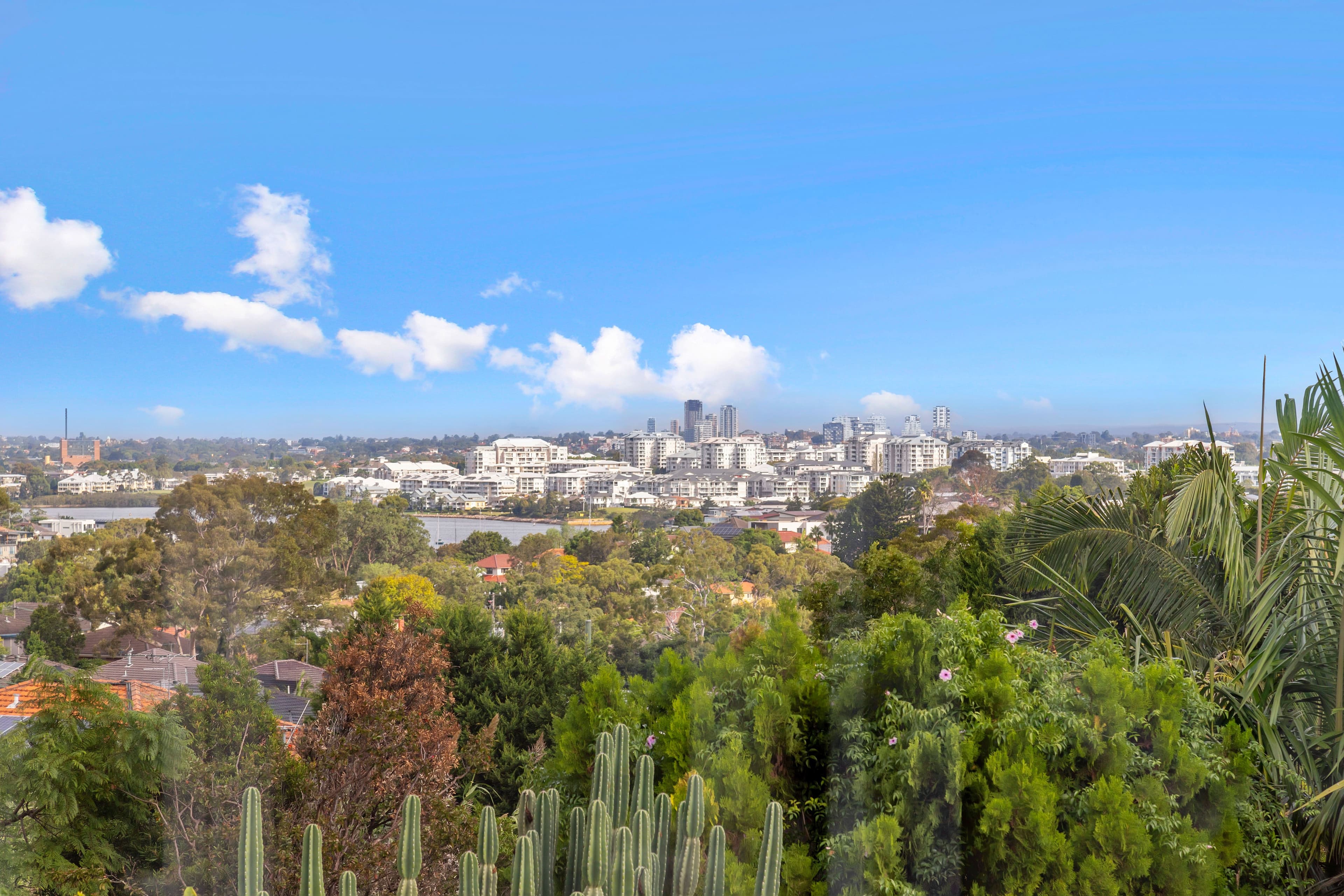 4 Charles Street, Ryde NSW 2112, Ryde - Thumbnail 4