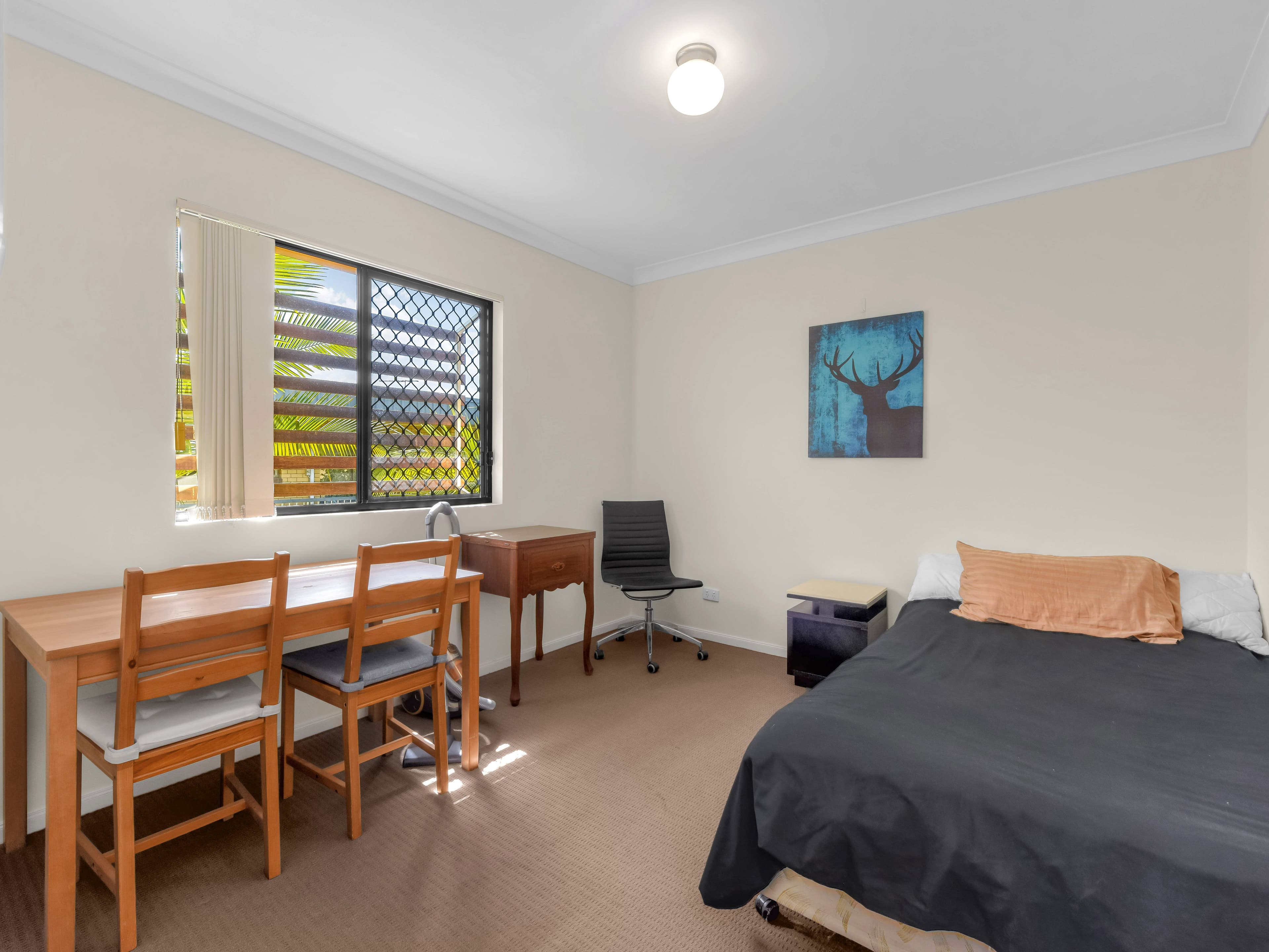17 York Street, Nundah QLD 4012, Nundah - Thumbnail 8