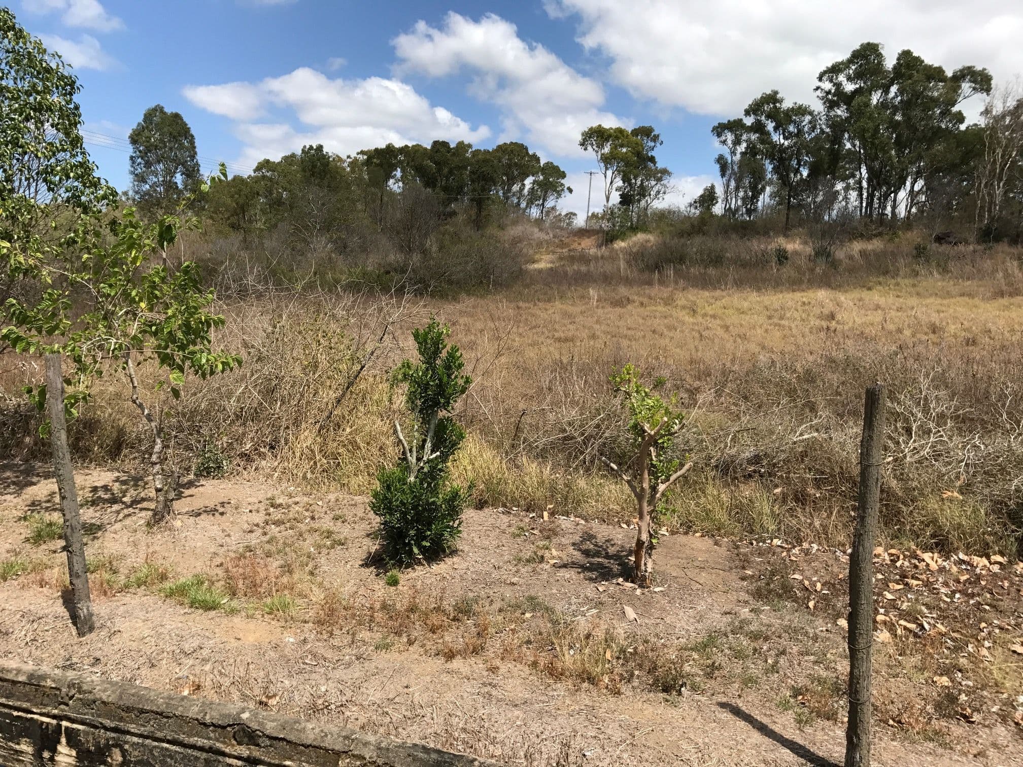 19-21 Kemmis Street, Eton QLD 4741, Eton - Thumbnail 5