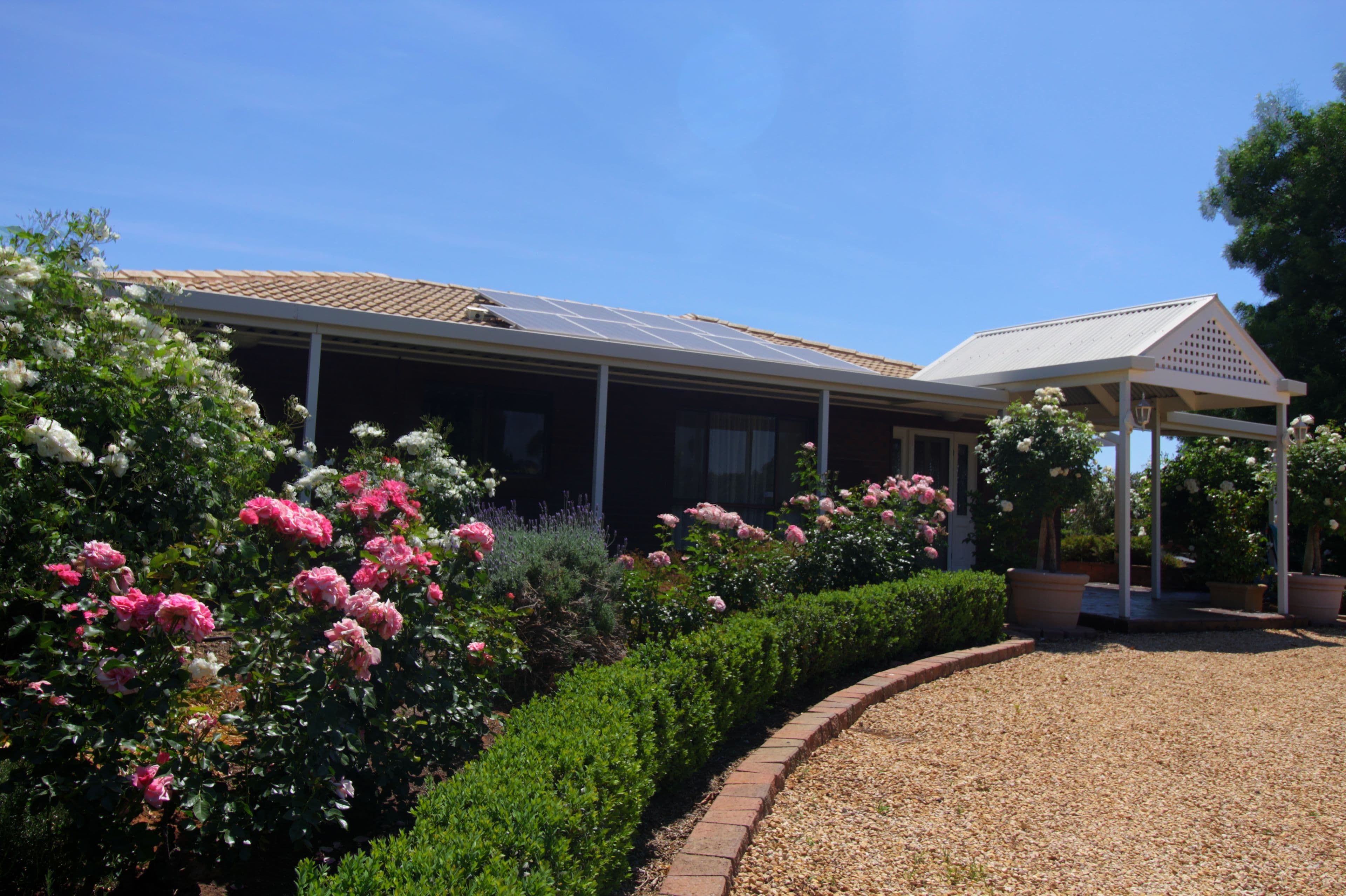 194 Winkie Road, Winkie SA 5343, Winkie - Thumbnail 2