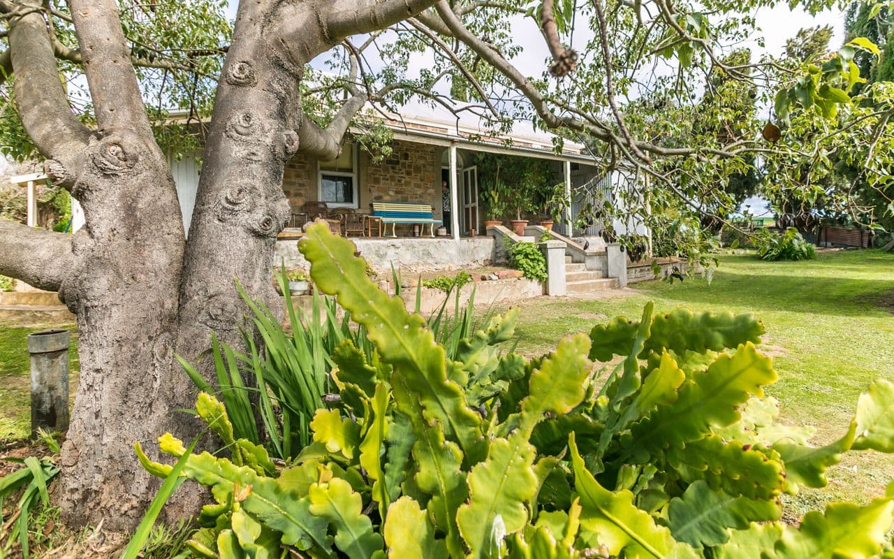 41 O'Halloran Street, Currency Creek SA 5214, Currency Creek - Thumbnail 2