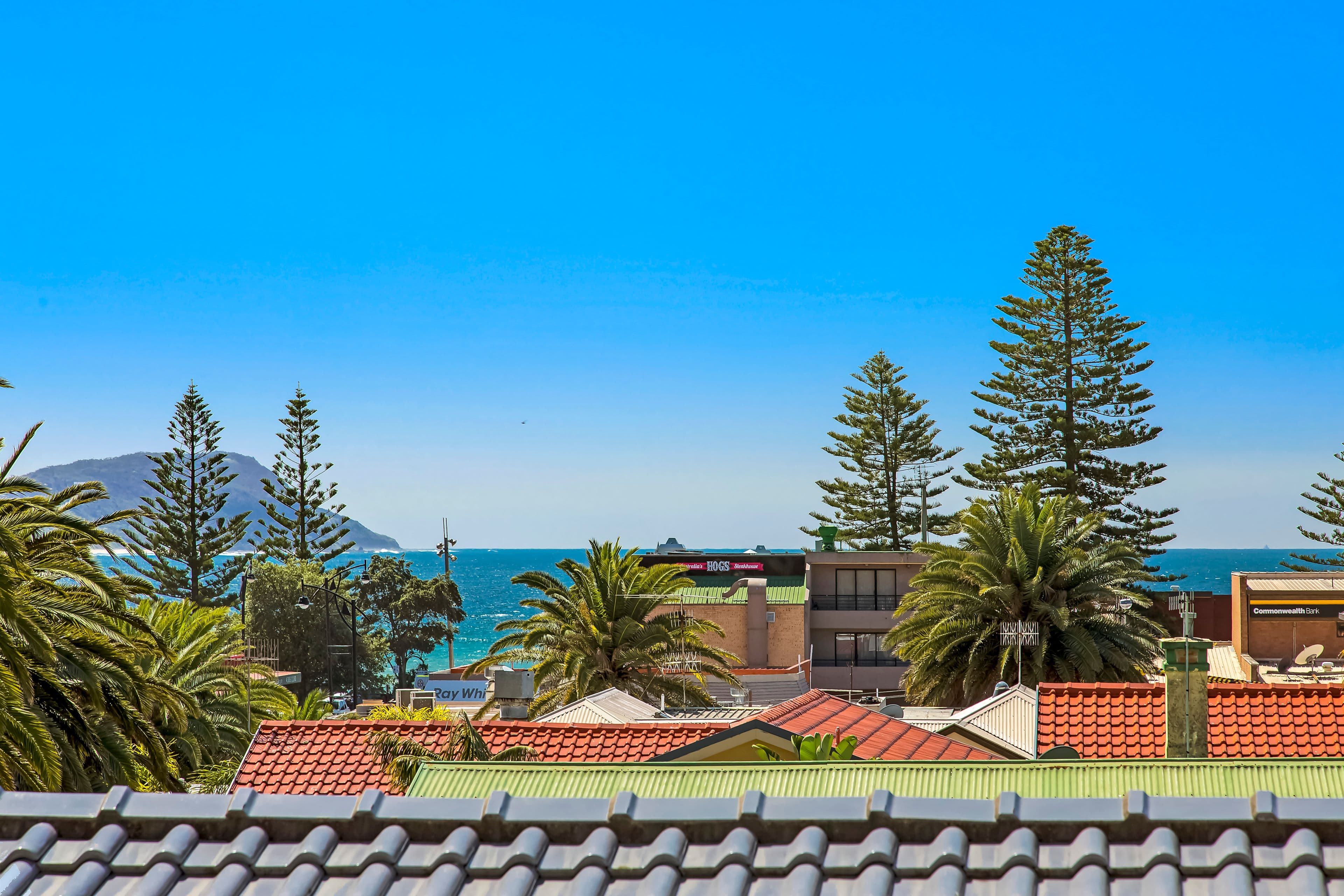 18 Campbell Crescent, Terrigal NSW 2260, Terrigal - Thumbnail 8