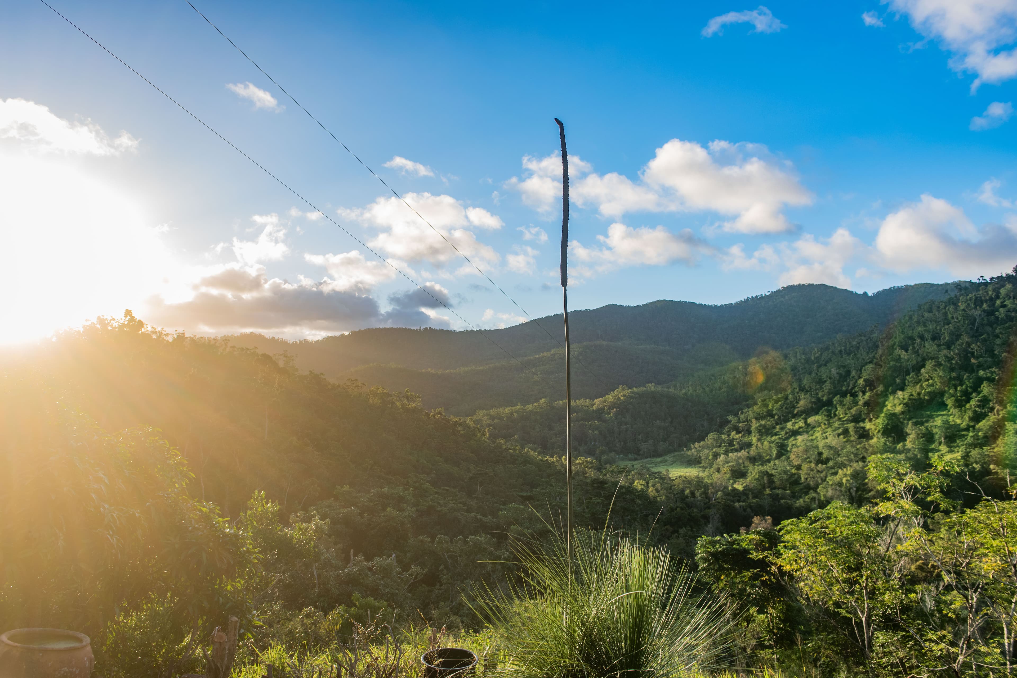 289 Forestry Road, Brandy Creek QLD 4800, Brandy Creek - Thumbnail 6
