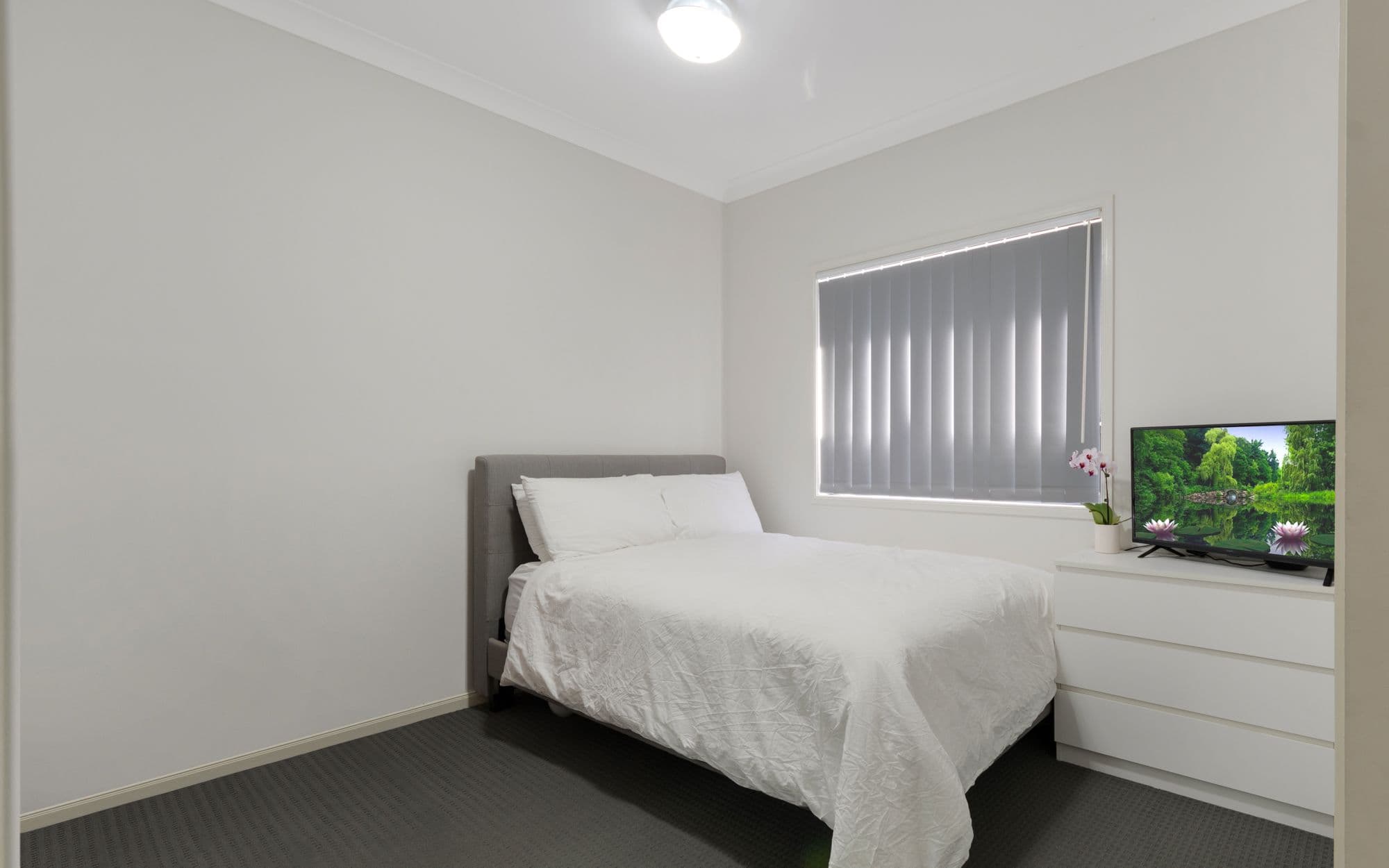 12 Fleming Street, Spring Farm NSW 2570, Spring Farm - Thumbnail 7