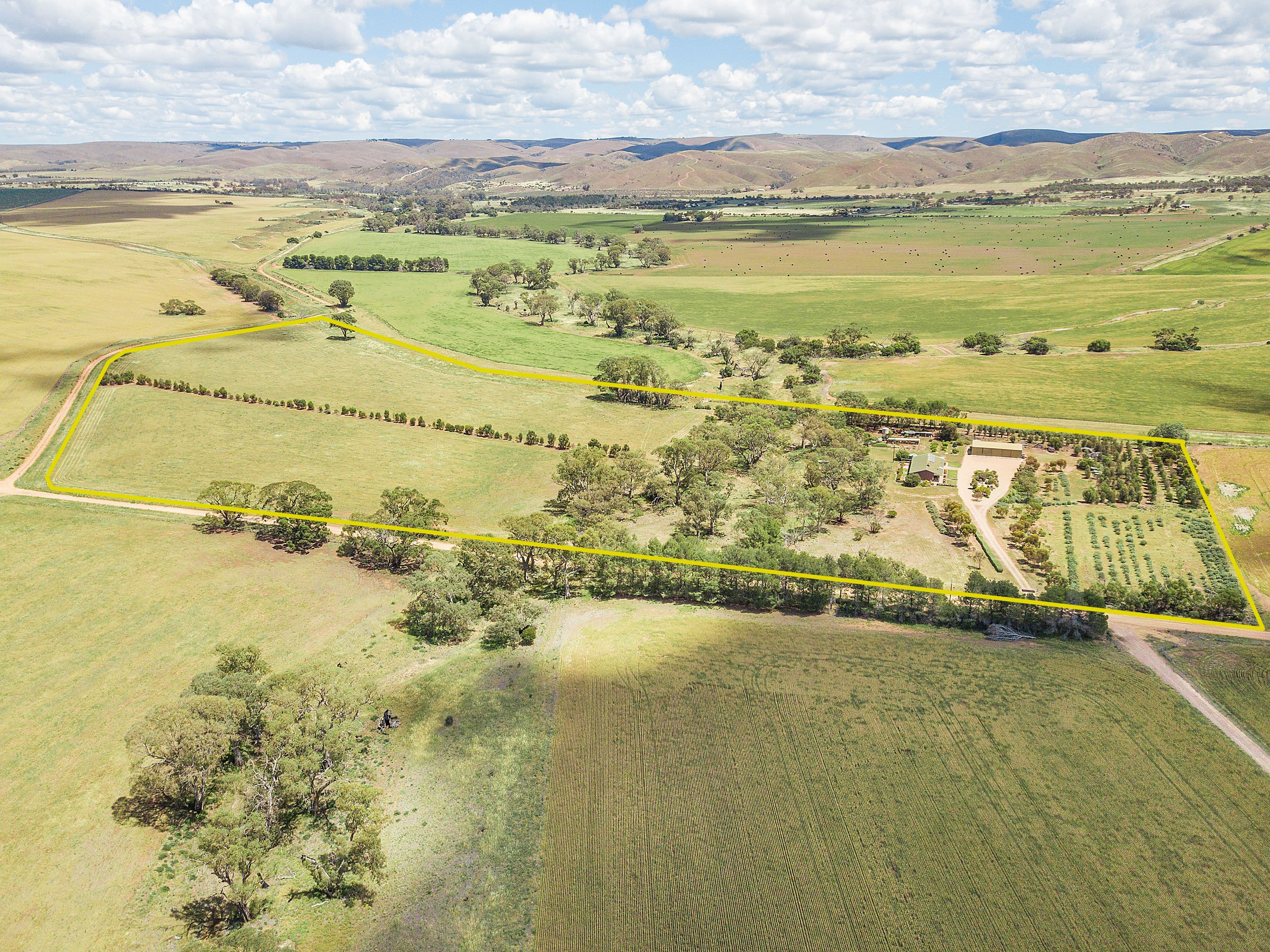 303 Miller Road, Sanderston SA 5237, Sanderston - Image 1