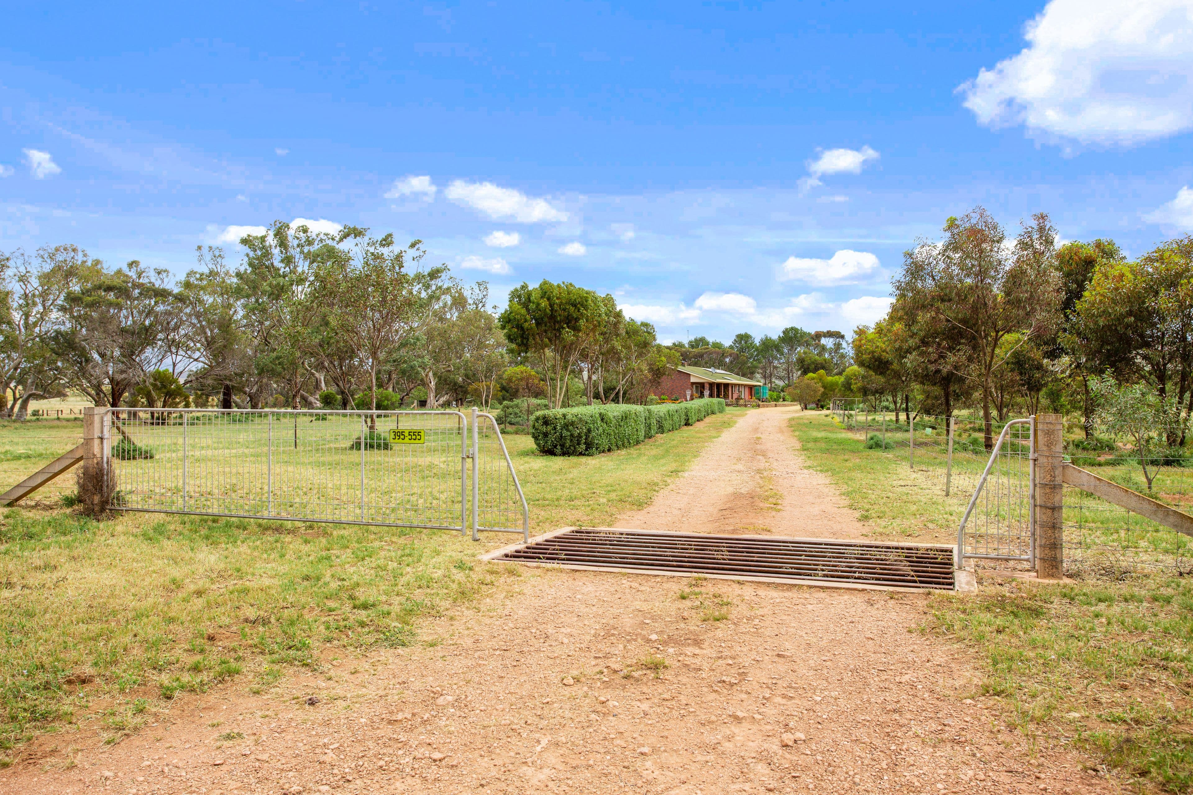 303 Miller Road, Sanderston SA 5237, Sanderston - Thumbnail 4