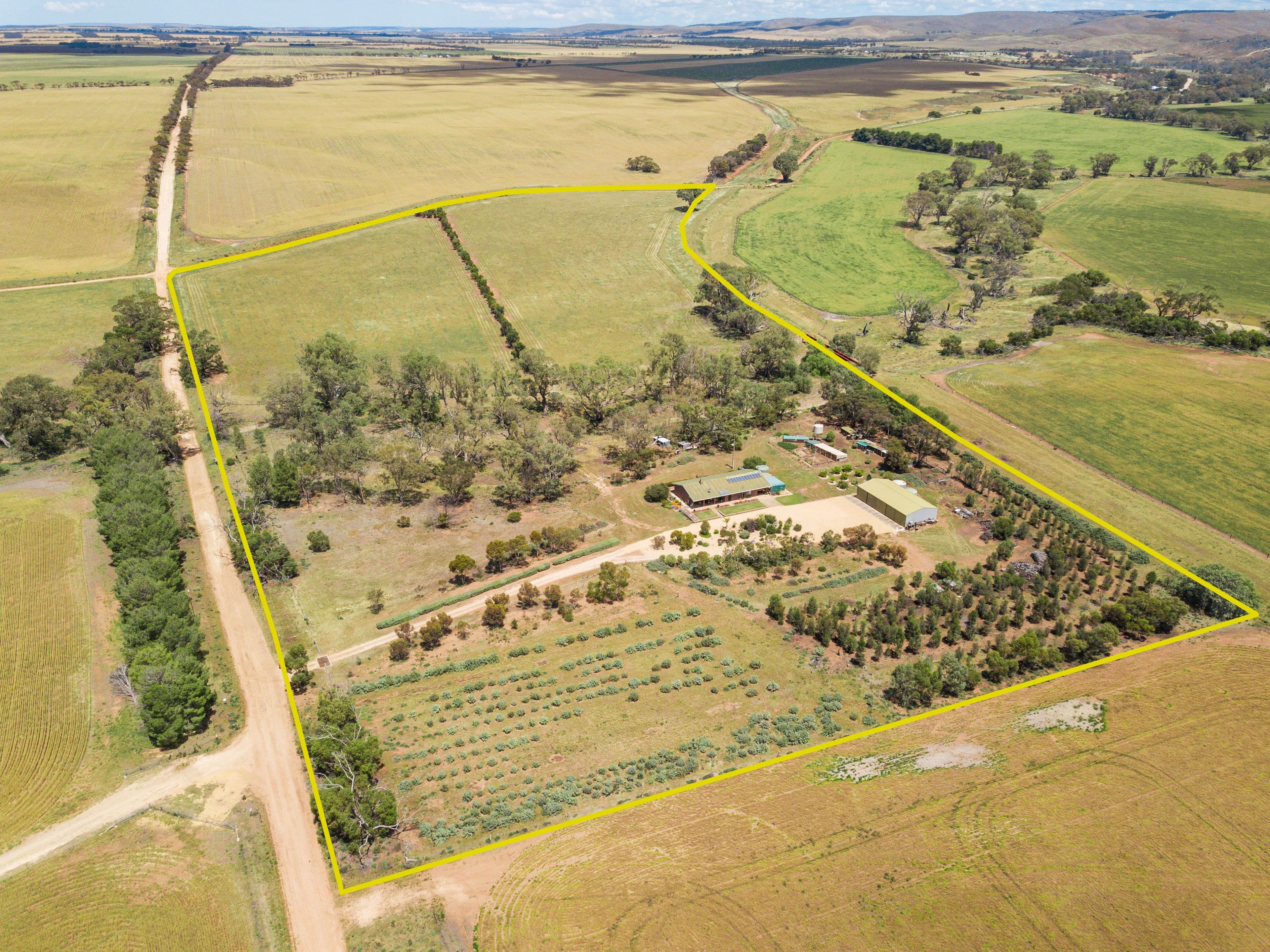 303 Miller Road, Sanderston SA 5237, Sanderston - Thumbnail 5