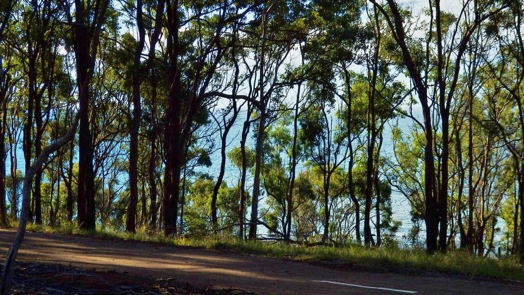 42 Esplanade, Point Vernon QLD 4655, Point Vernon - Image 1