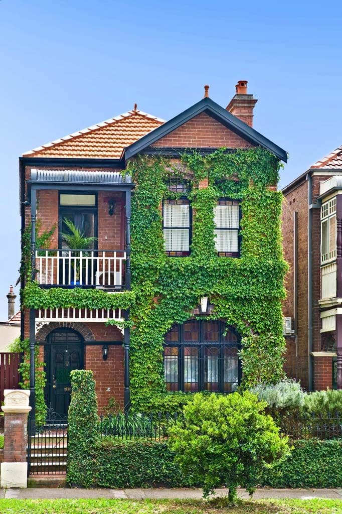 67 Stanmore Road, STANMORE NSW 2048, Stanmore - Thumbnail 5