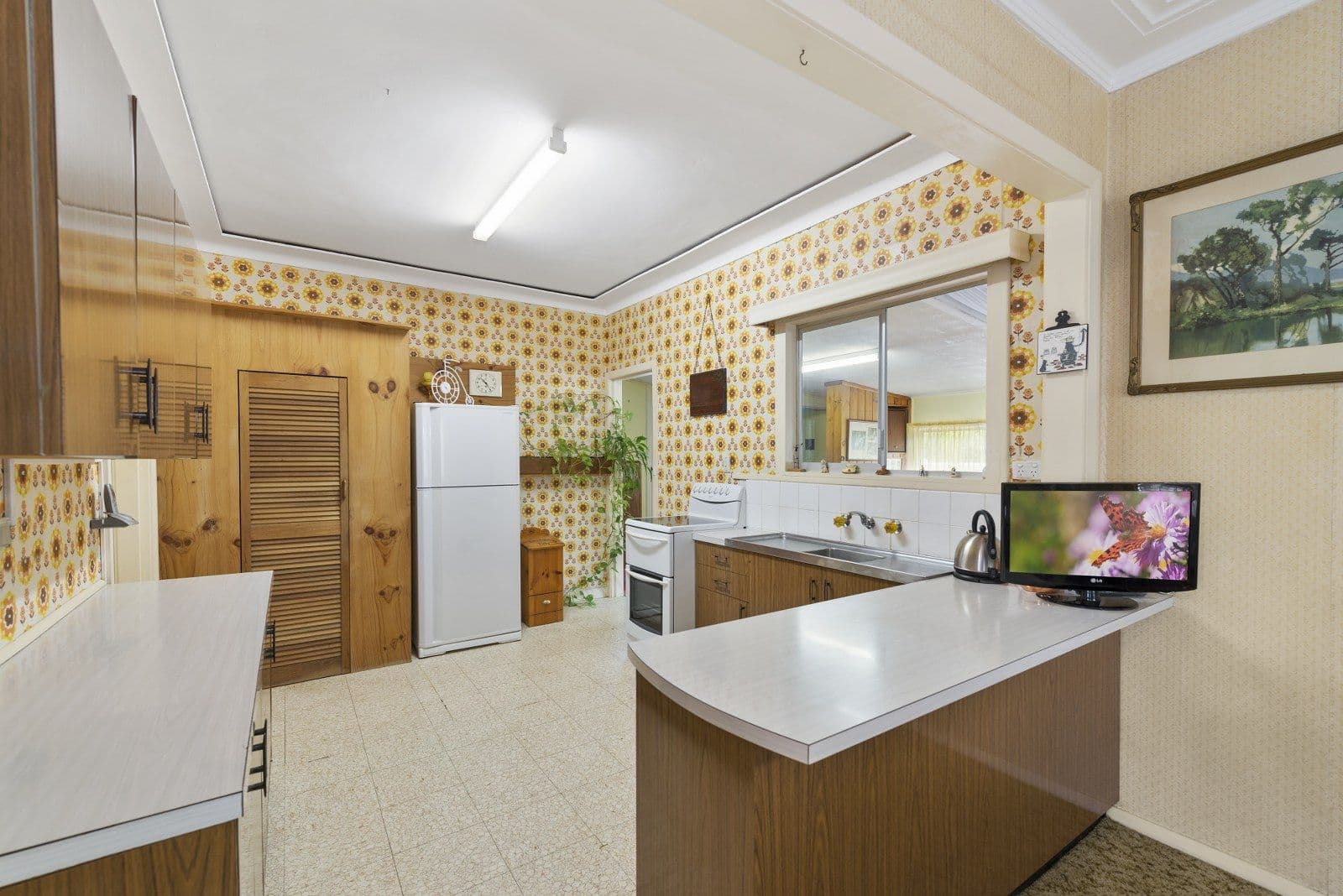 19 Beryl Street, Coffs Harbour - Thumbnail 3