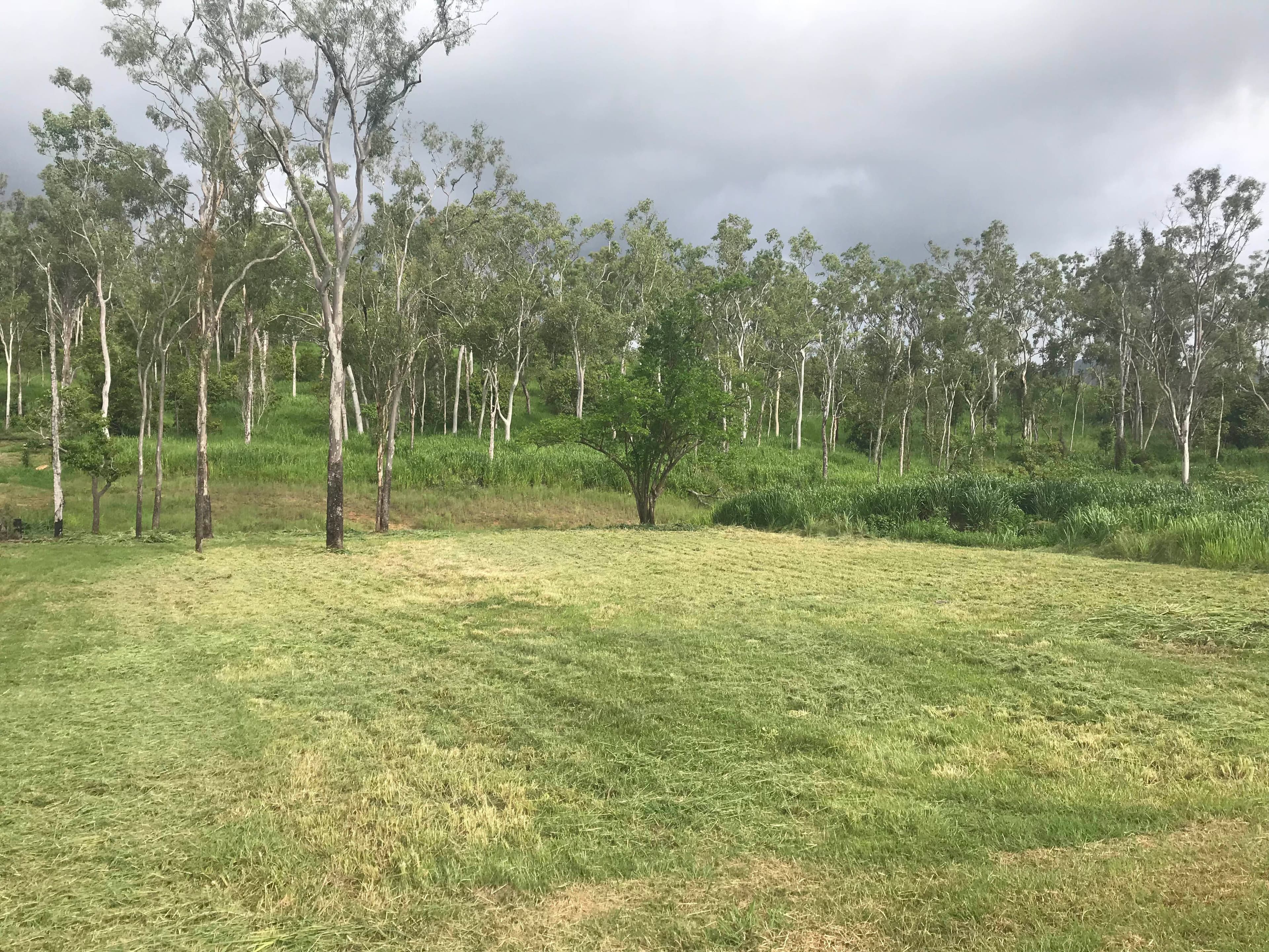 4 Botanica Drive, Cannonvale QLD 4802, Cannonvale - Image 1