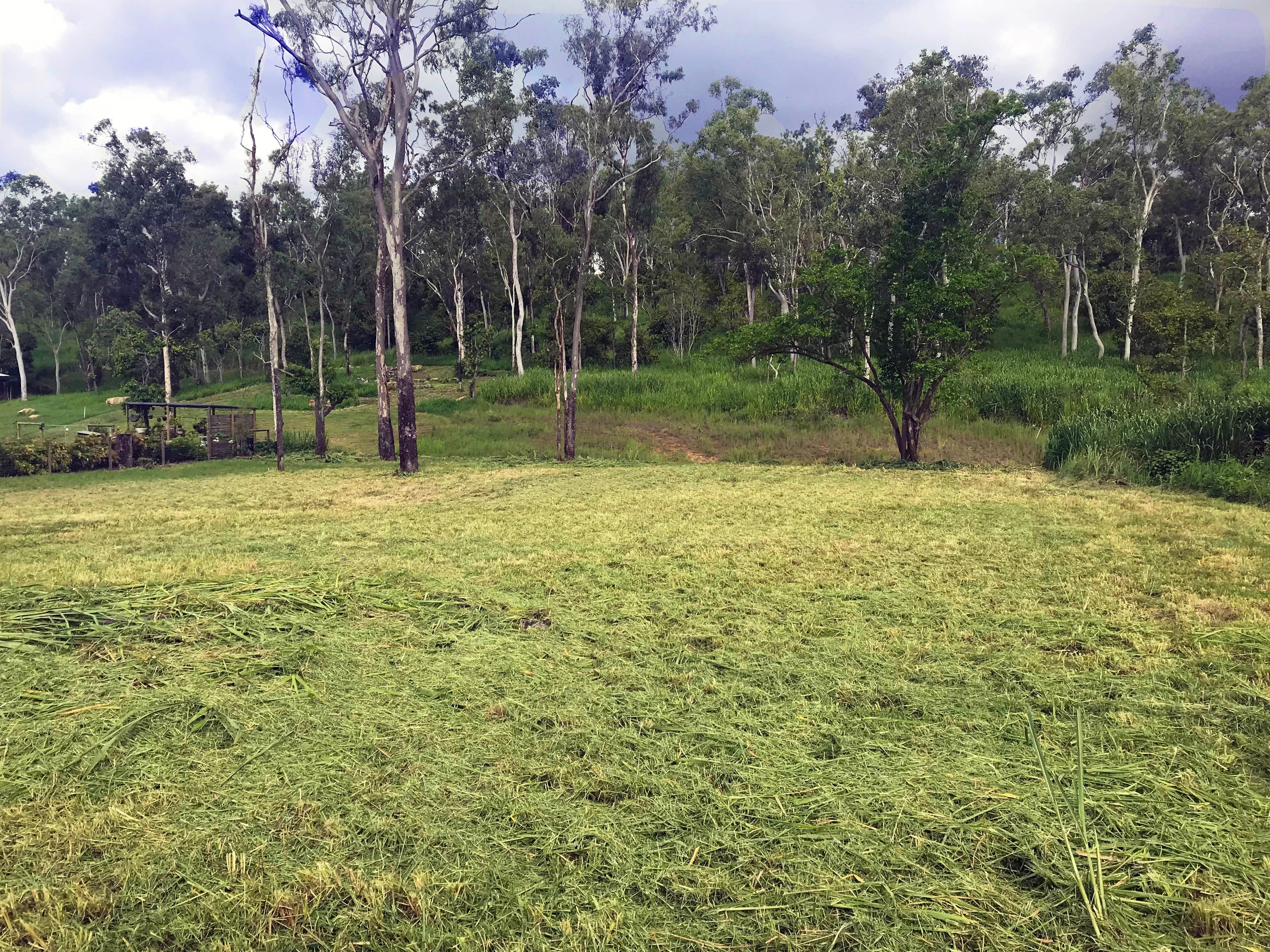 4 Botanica Drive, Cannonvale QLD 4802, Cannonvale - Thumbnail 2