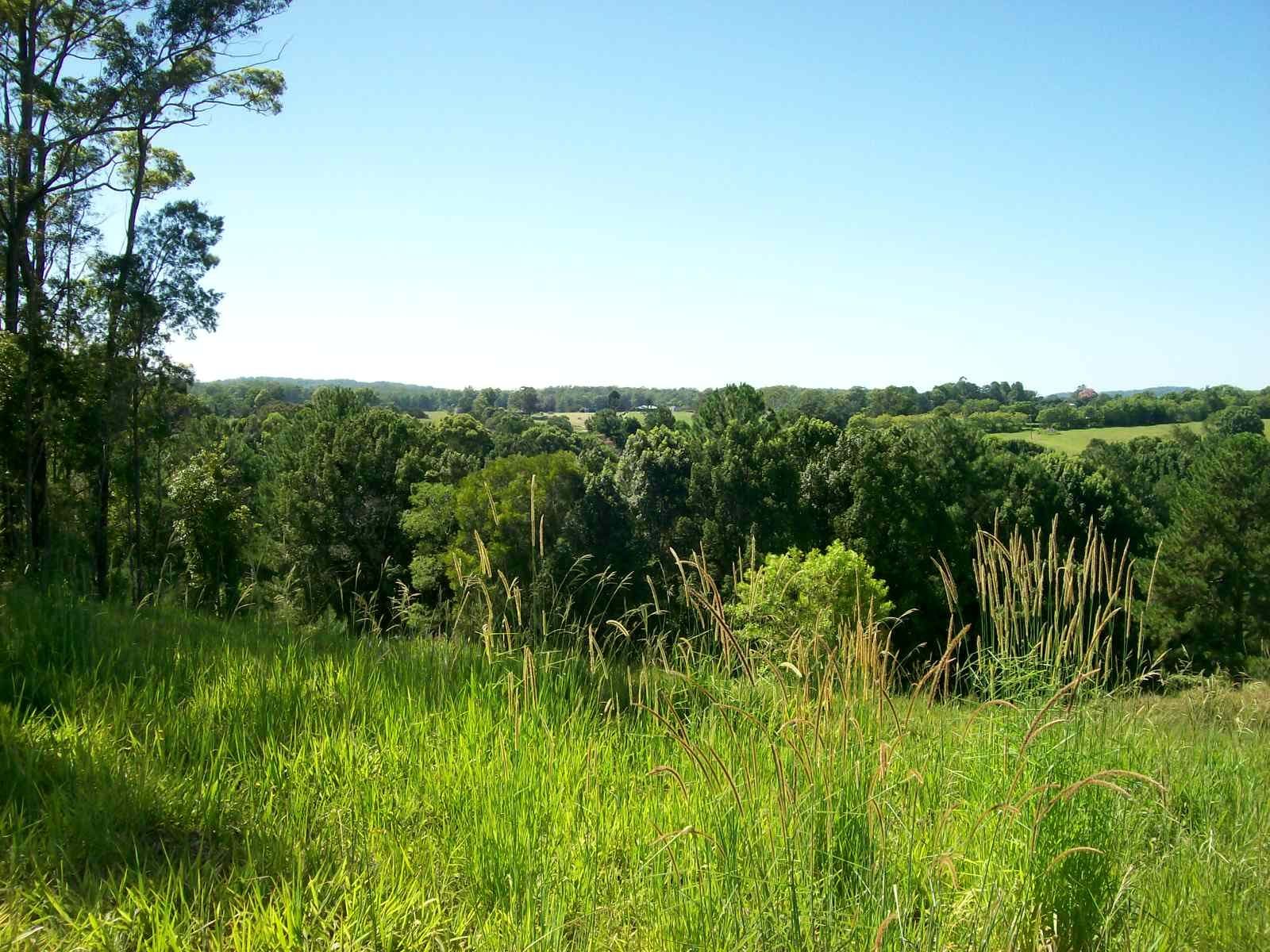 16 Ironbark Place, Bellingen NSW 2454, Bellingen - Thumbnail 4