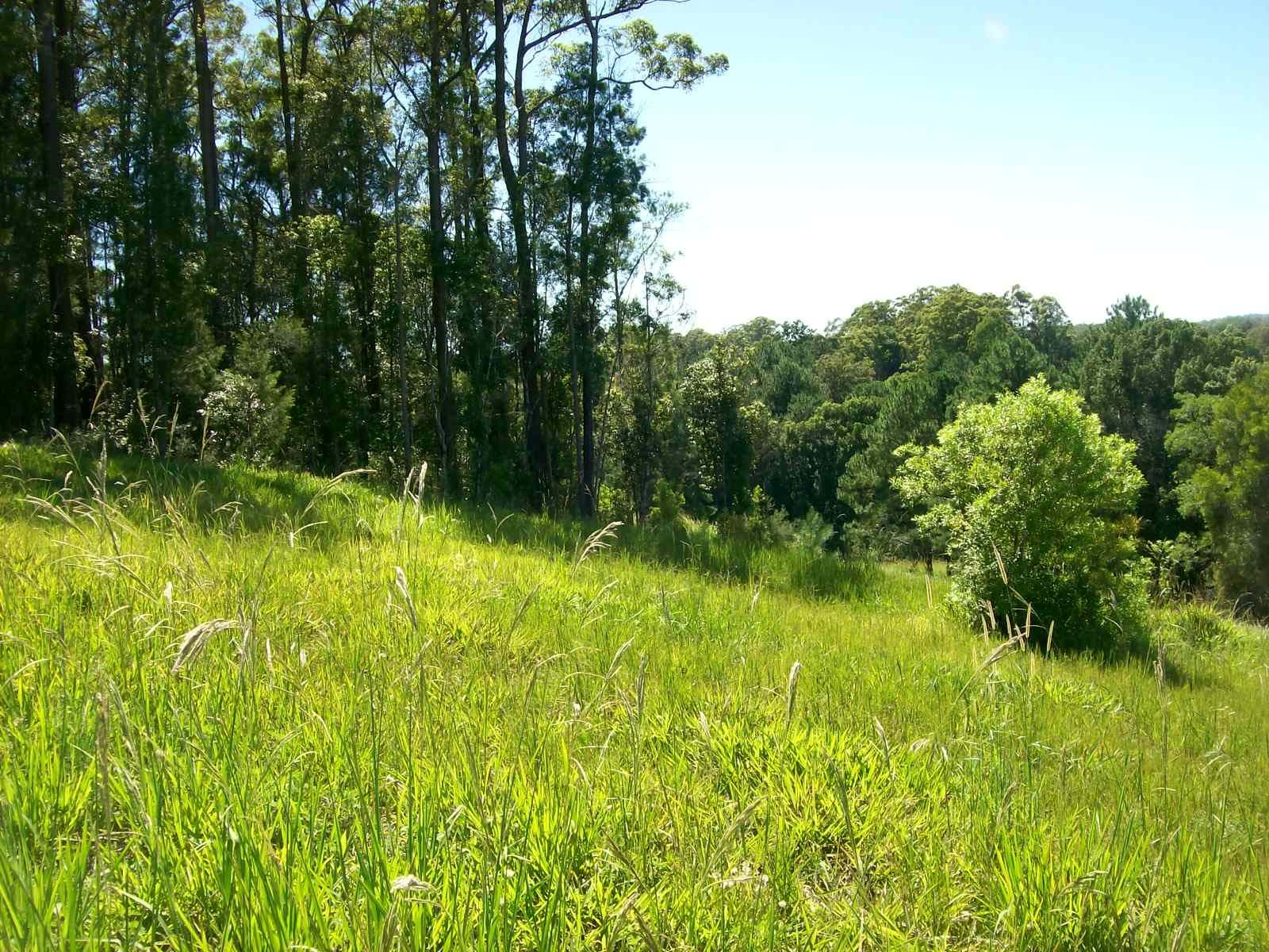 16 Ironbark Place, Bellingen NSW 2454, Bellingen - Thumbnail 6