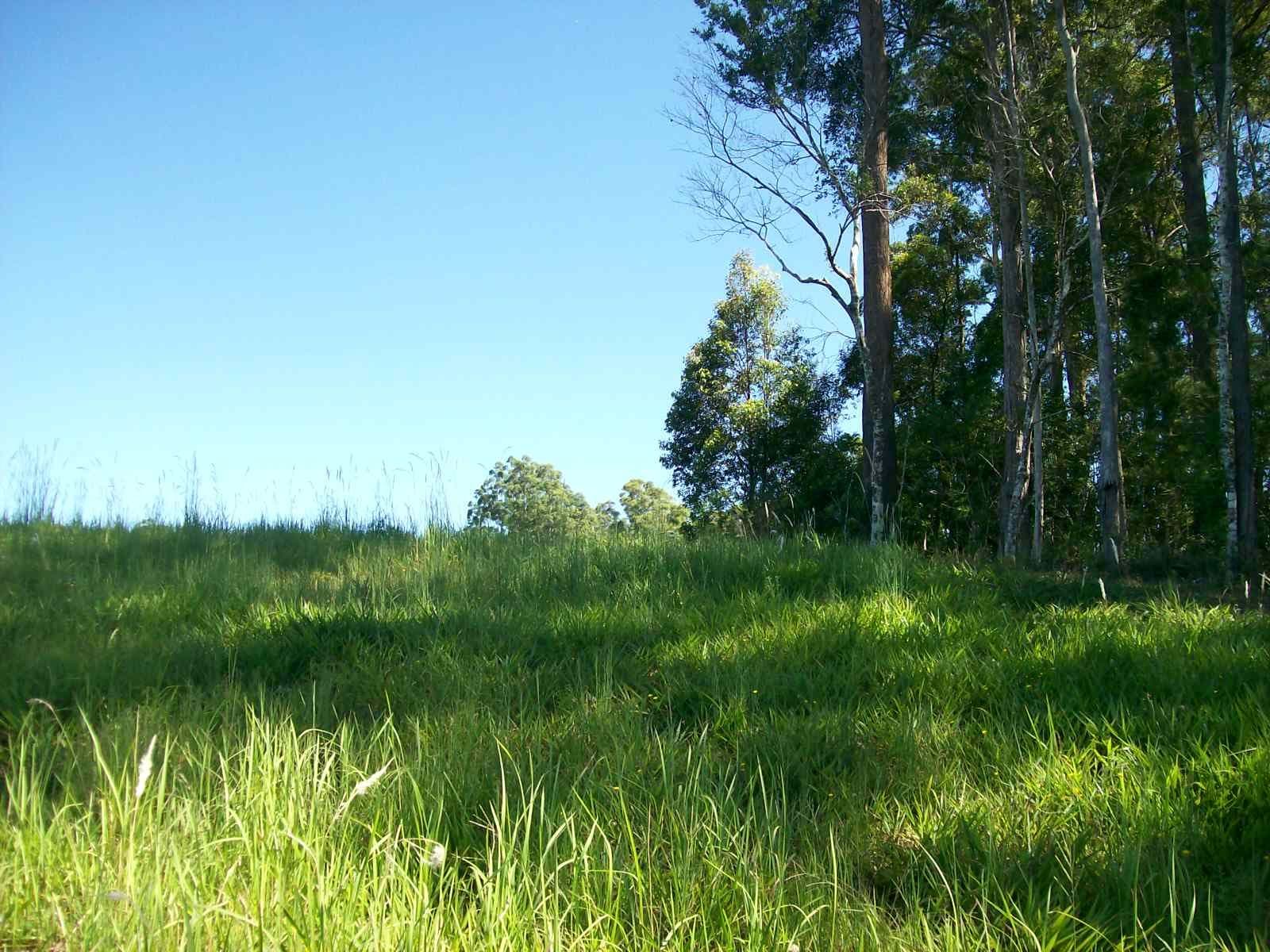 16 Ironbark Place, Bellingen NSW 2454, Bellingen - Thumbnail 7