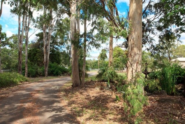 16 Pepper Lane, PINE MOUNTAIN QLD 4306, Pine Mountain - Thumbnail 5